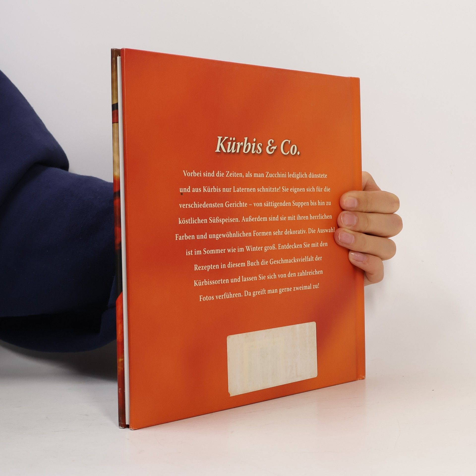 kolektiv Kürbis & Co.