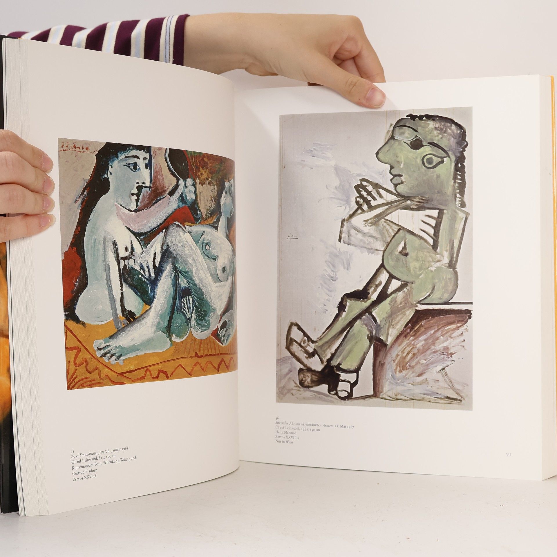 Various authors Picasso. Malen gegen die Zeit