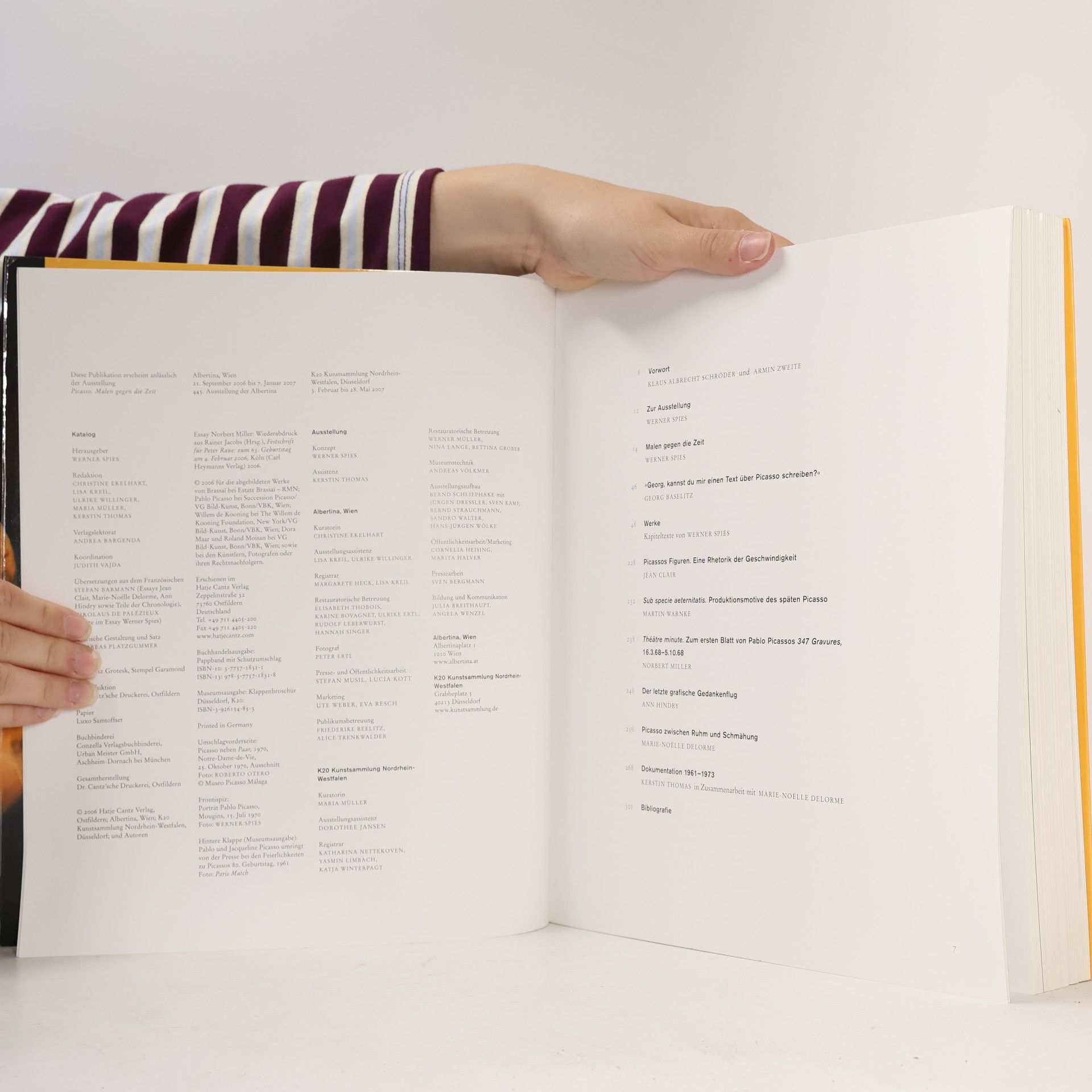 Various authors Picasso. Malen gegen die Zeit