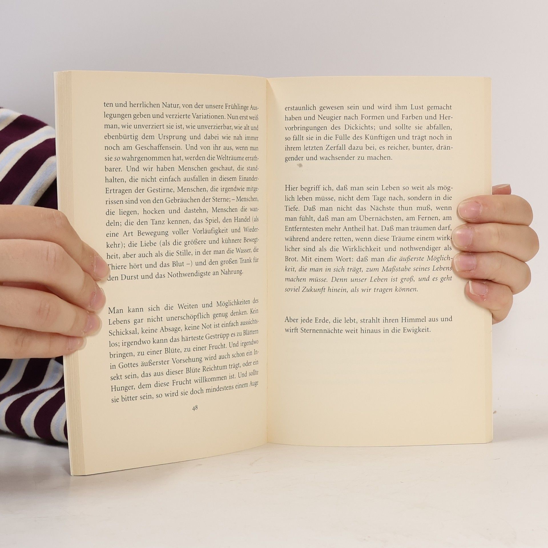 Rainer Maria Rilke Du mußt Dein Leben ändern