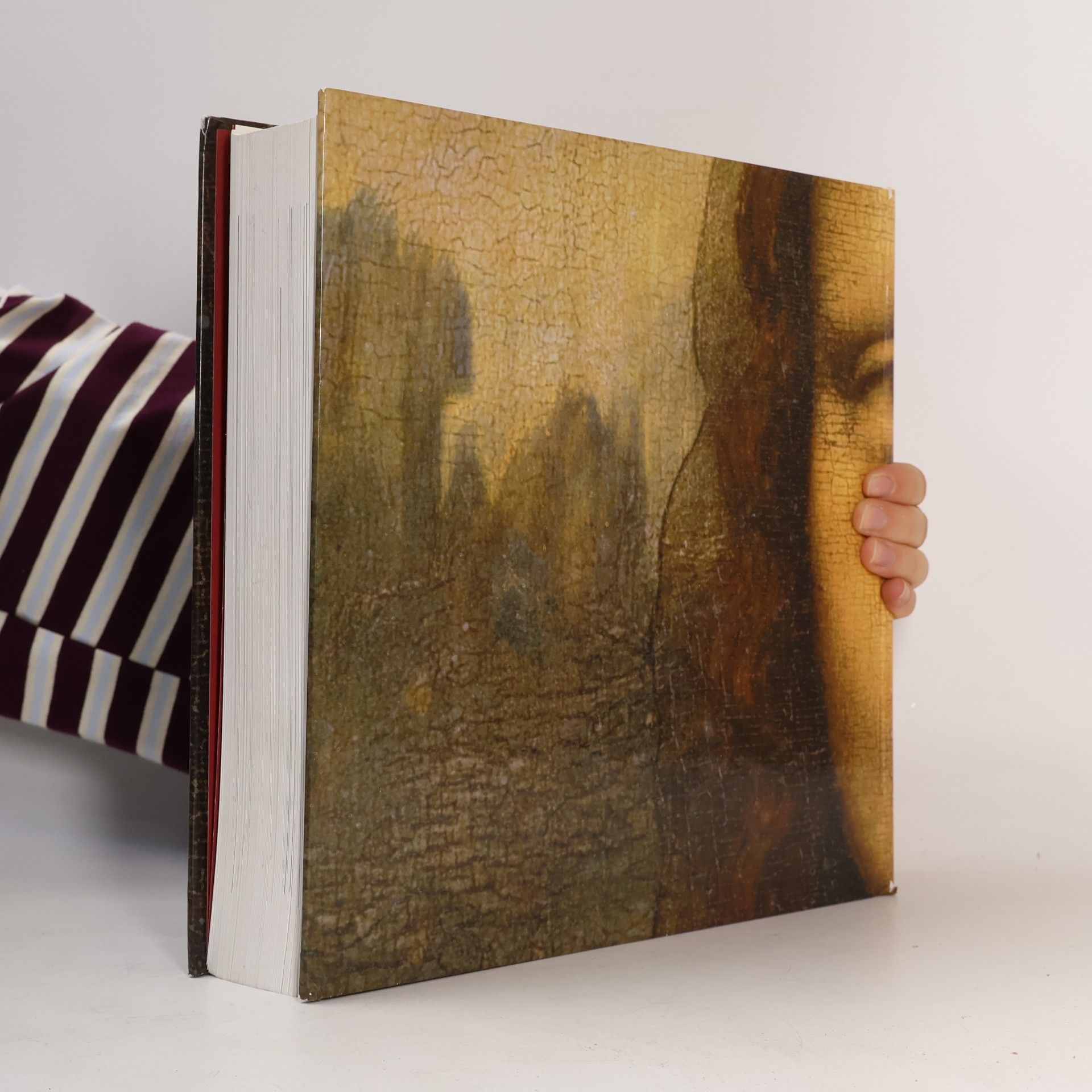 Vincent Pomarede The Louvre: All The Paintings