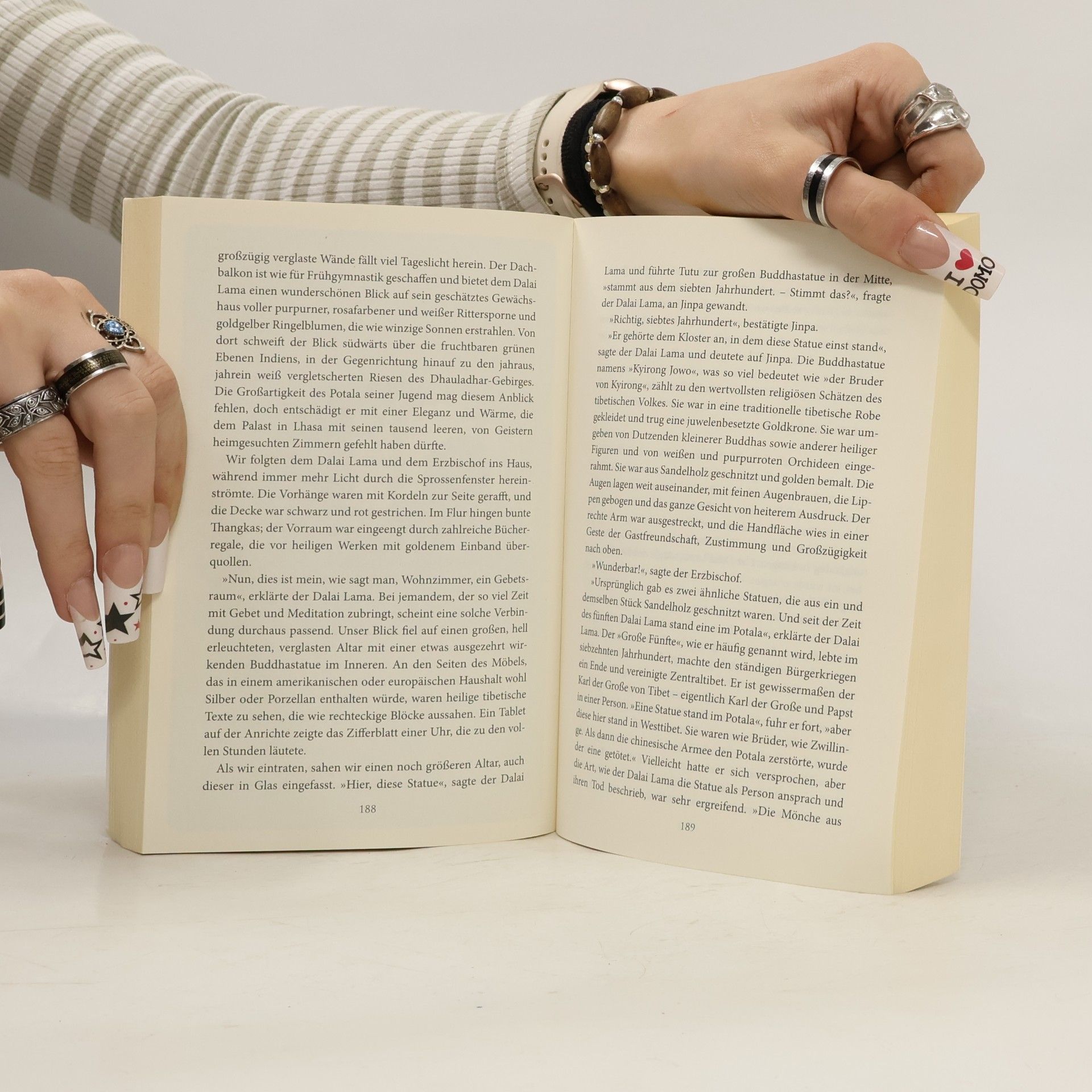 Desmond Tutu Das Buch der Freude