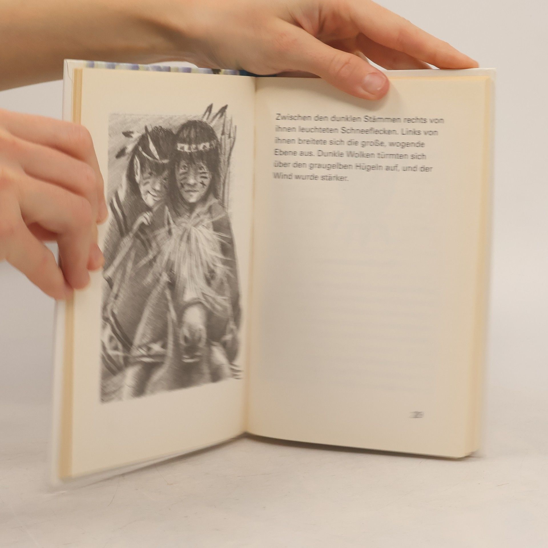 Stig Ericson Kleiner Wolf und der Einsame