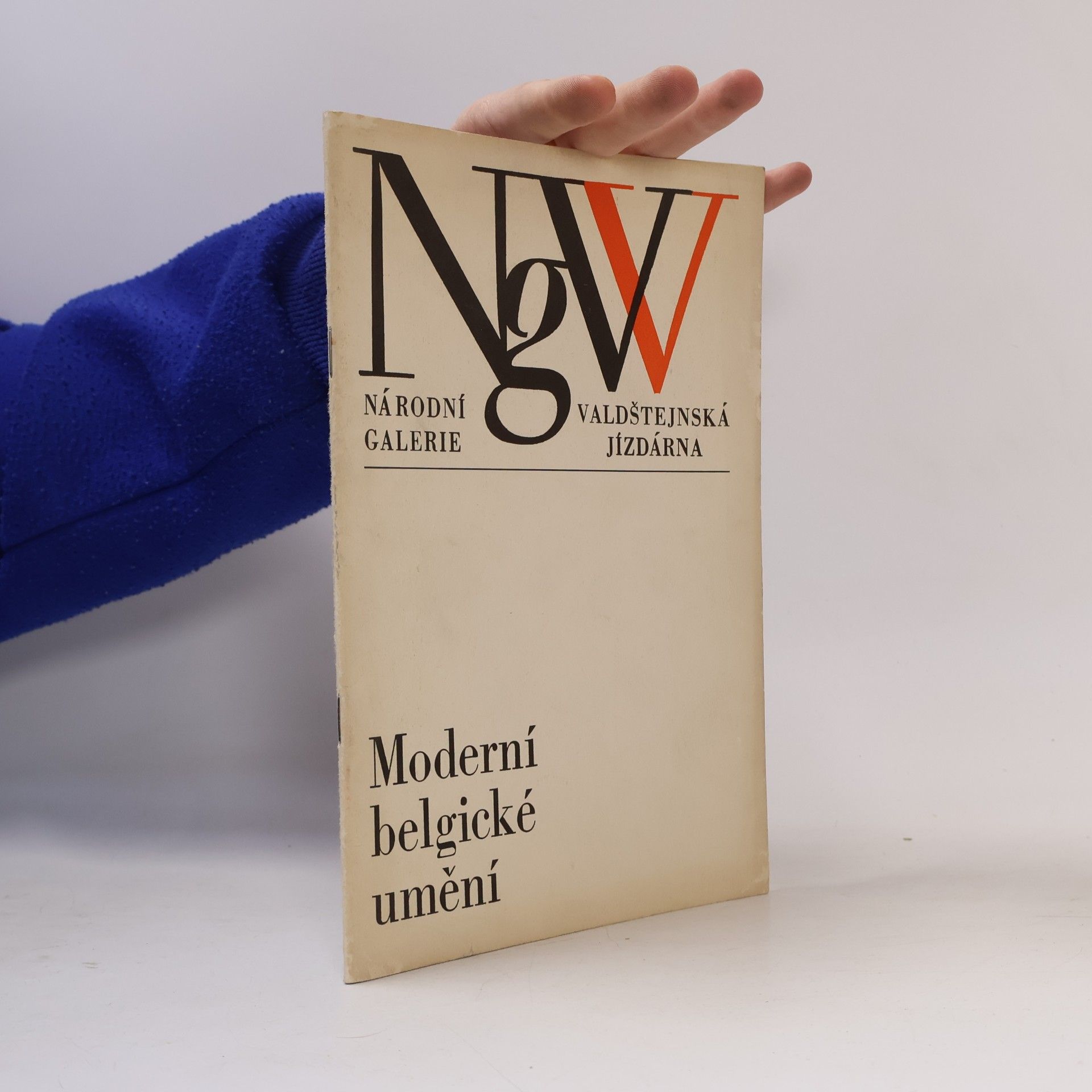 kolektiv Moderní belgické umění