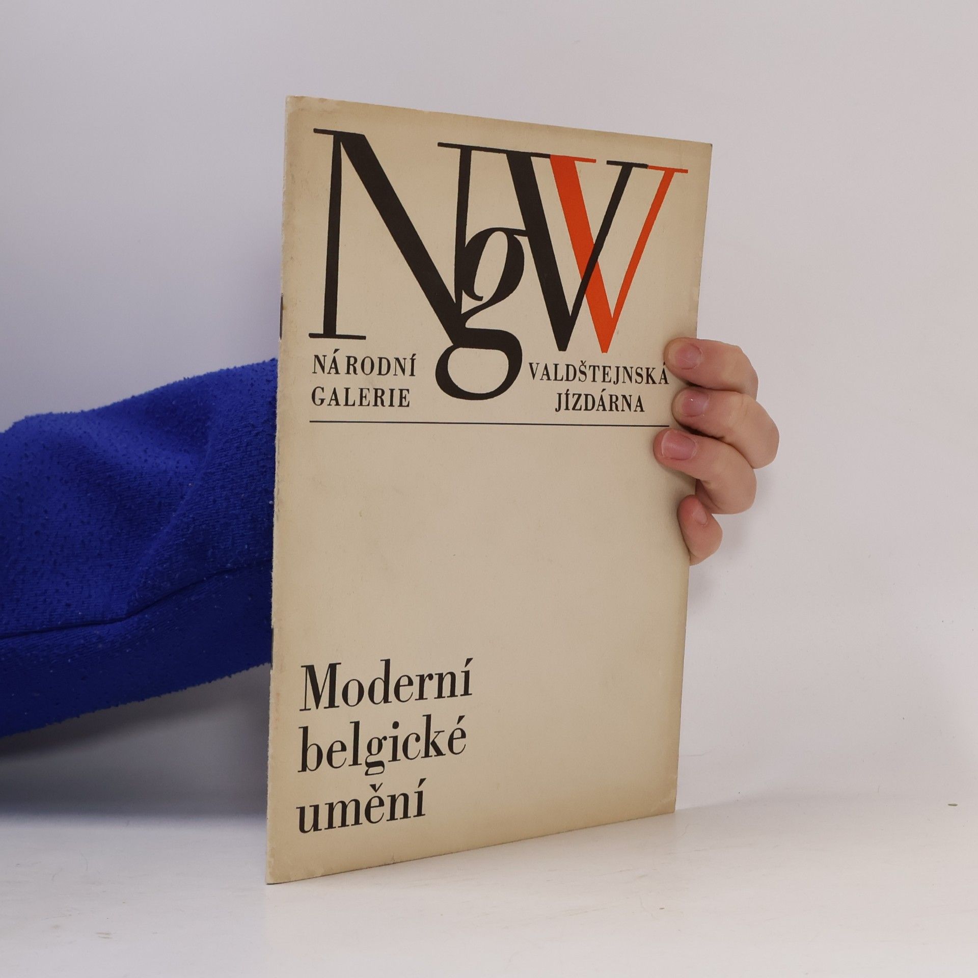 kolektiv Moderní belgické umění