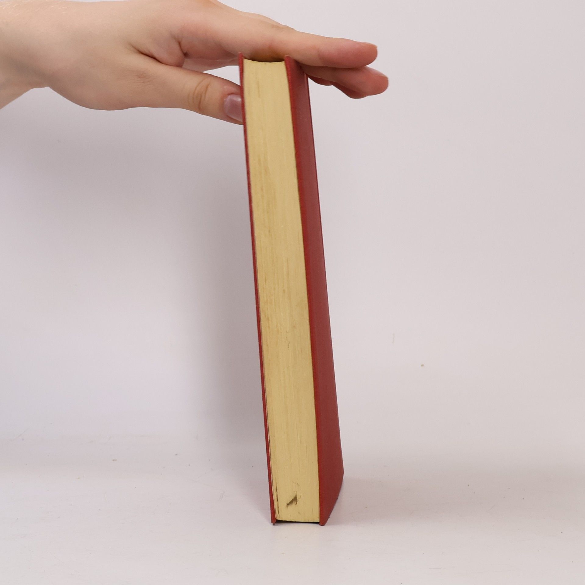Autorenkollektiv Die hundert neuen Novellen
