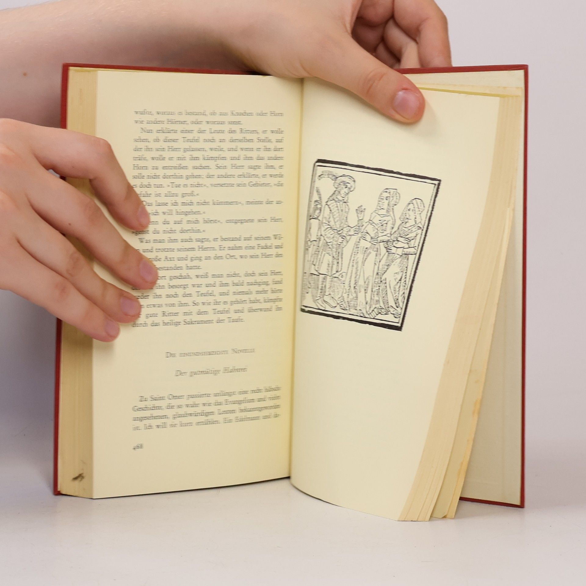 Autorenkollektiv Die hundert neuen Novellen