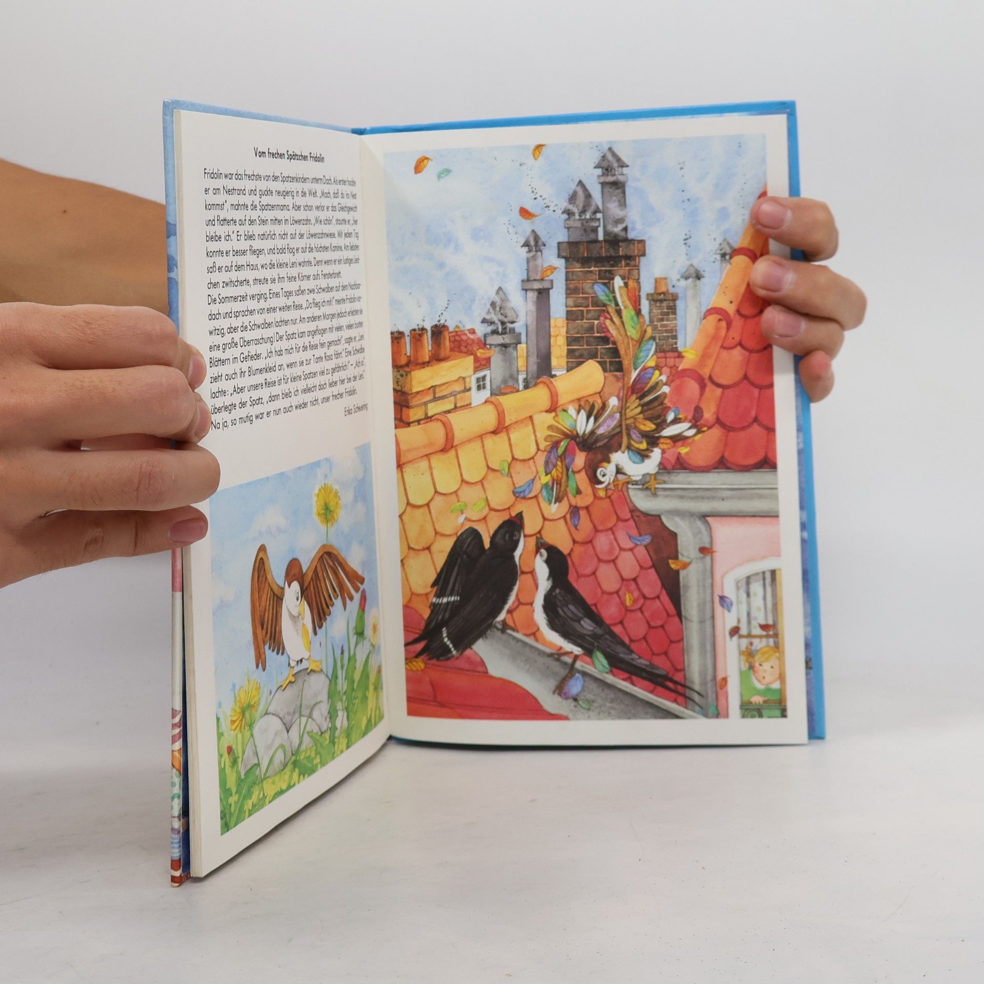 Autorenkollektiv Bunt wie Kinderträume