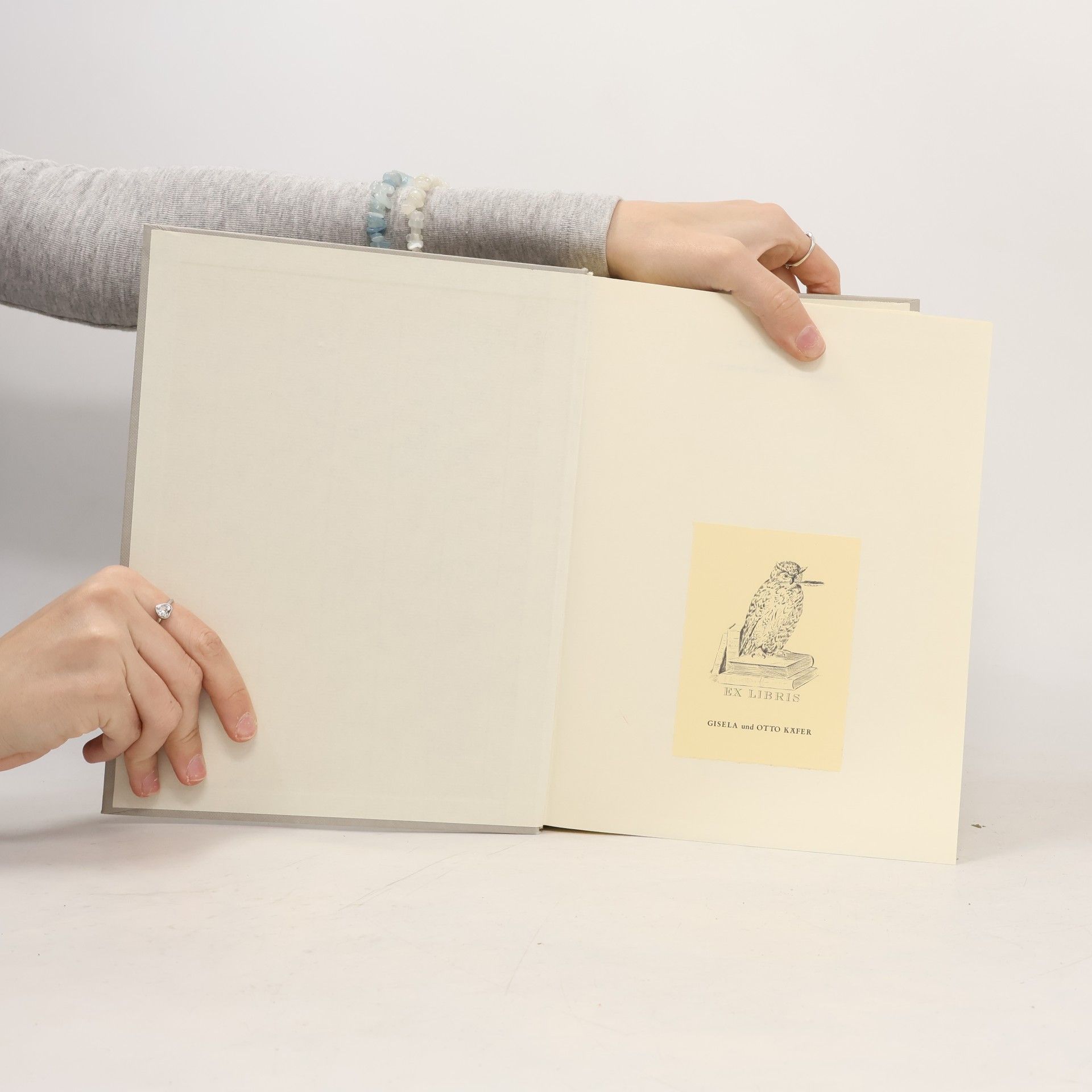 Karl Otto Conrady Das Grosse deutsche Gedichtbuch