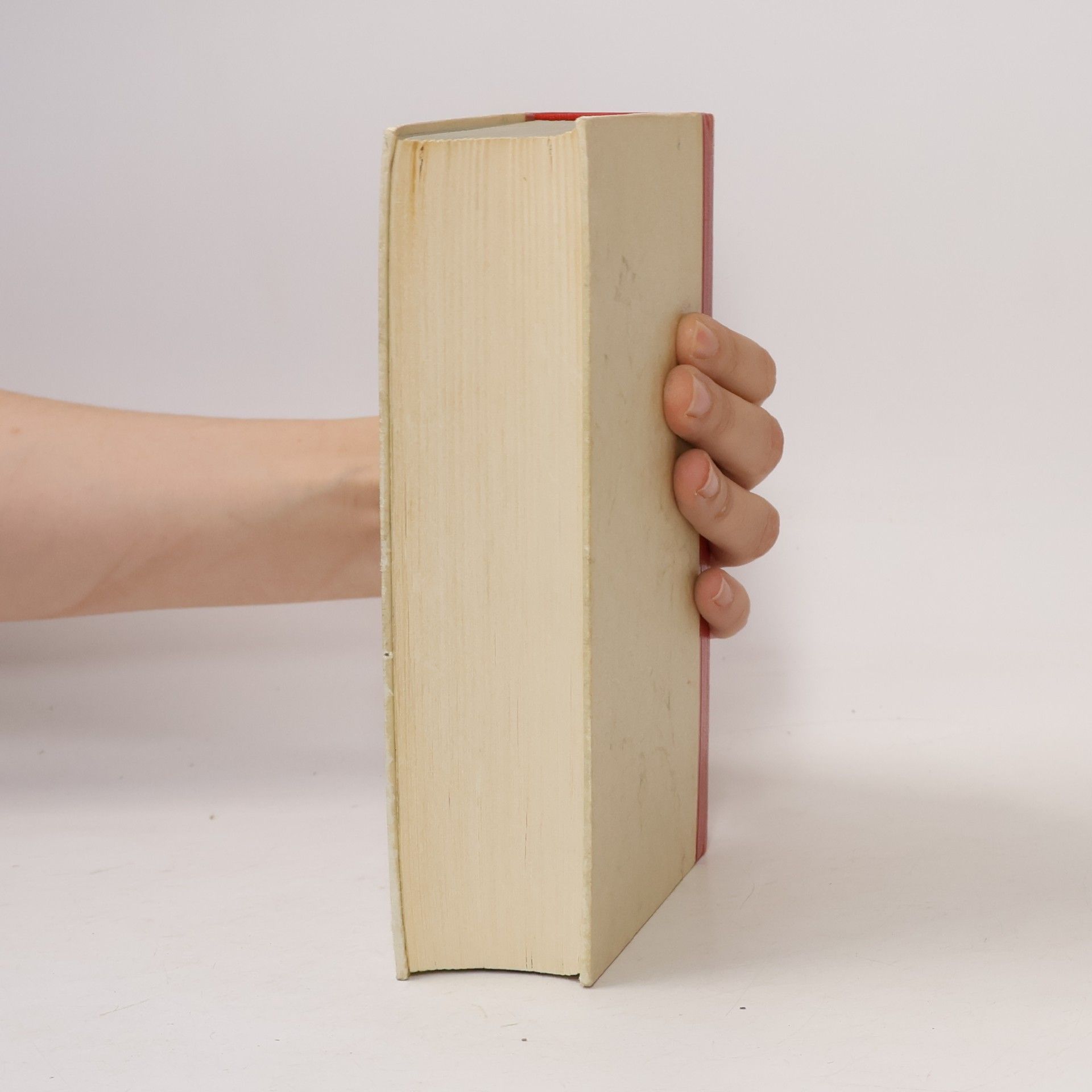 Autorenkollektiv Djin Ping Meh