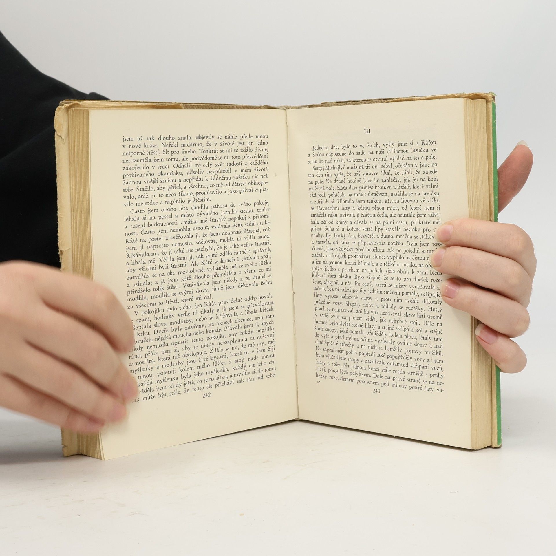 Lew Nikolajewitsch Tolstoi Kozáci a jiné povídky