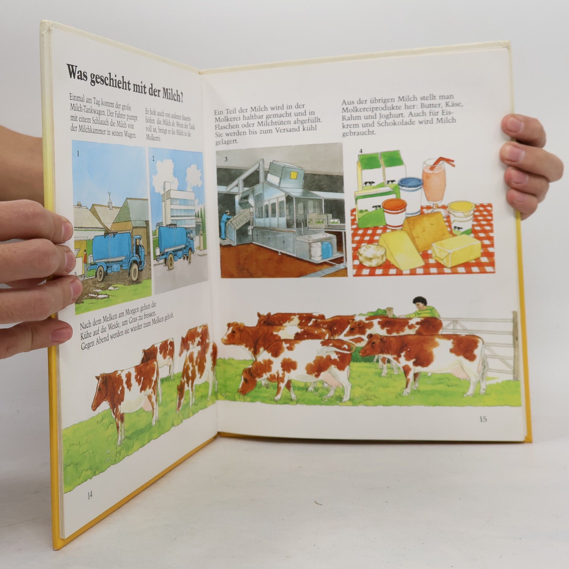 Brenda Cook Mein erstes Buch vom Bauernhof