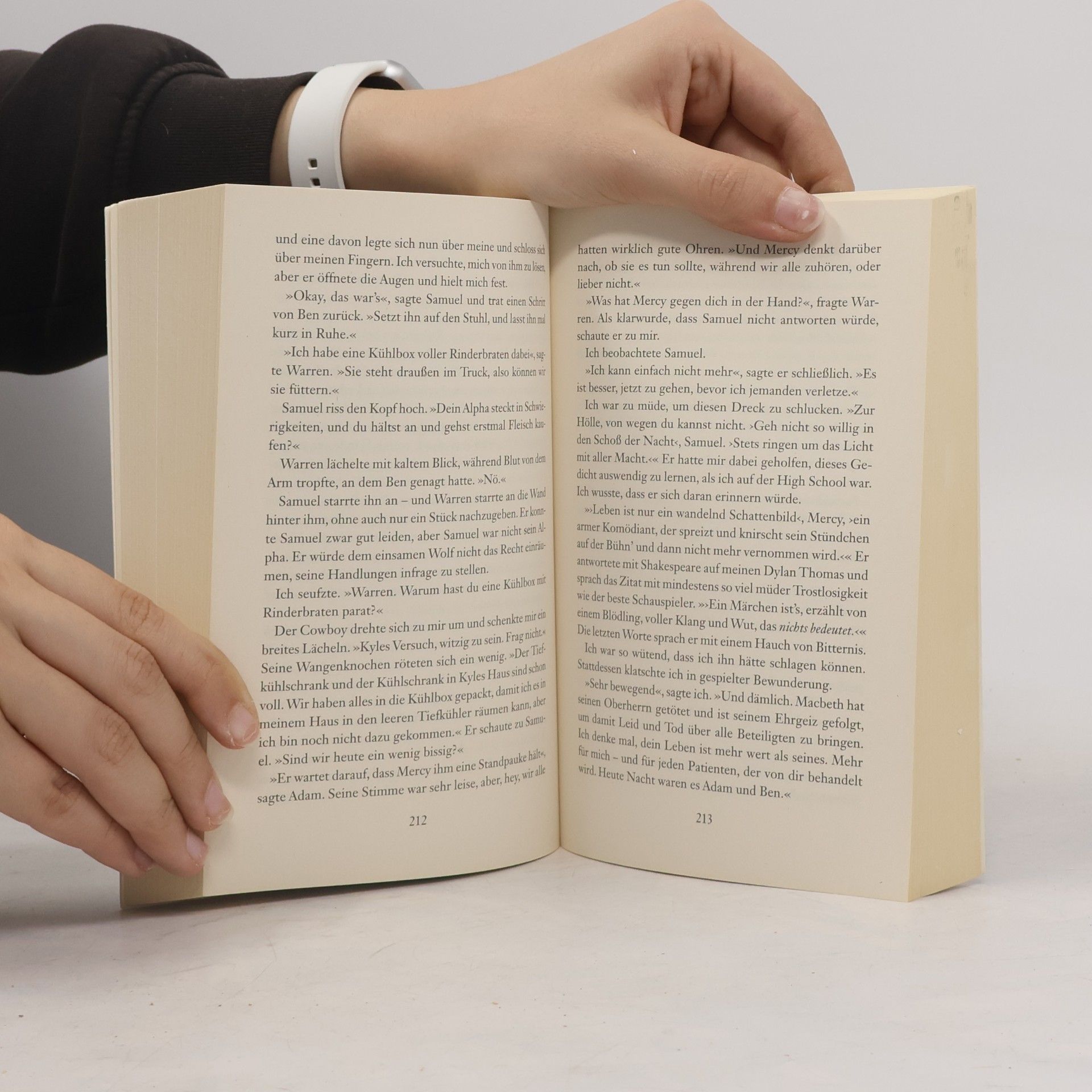 Patricia Briggs Zeichen des Silbers