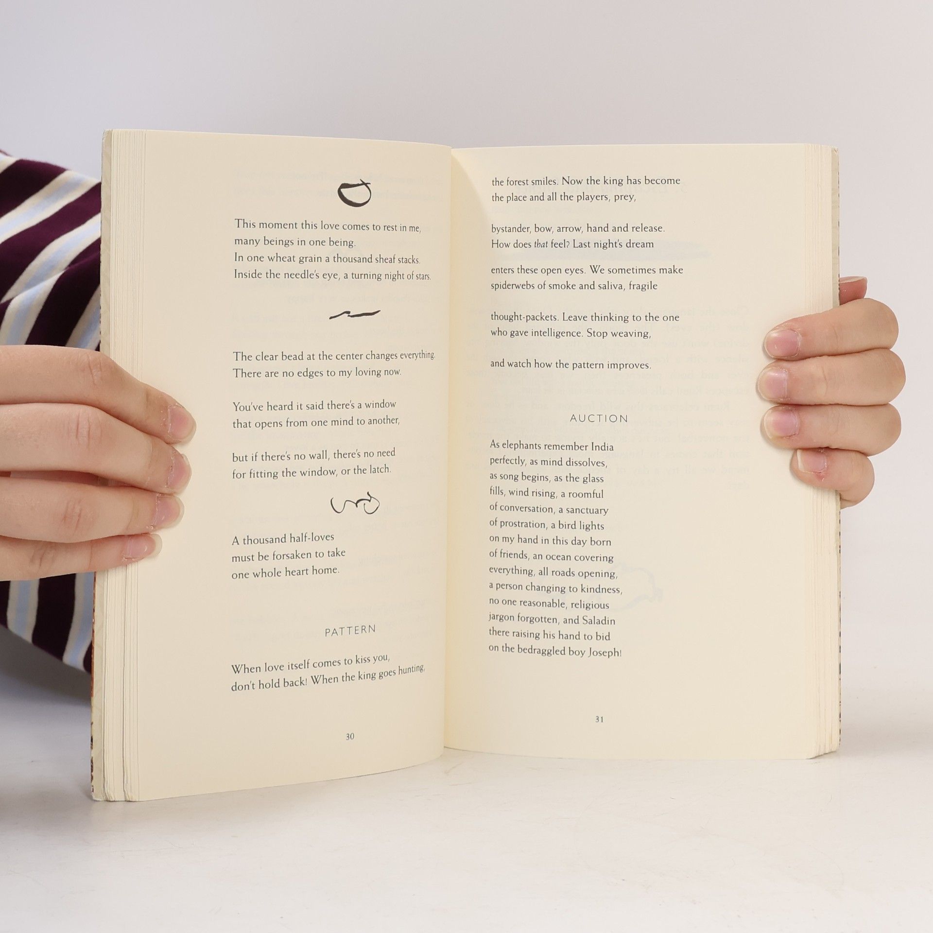 Coleman Barks Rumi: The Book of Love