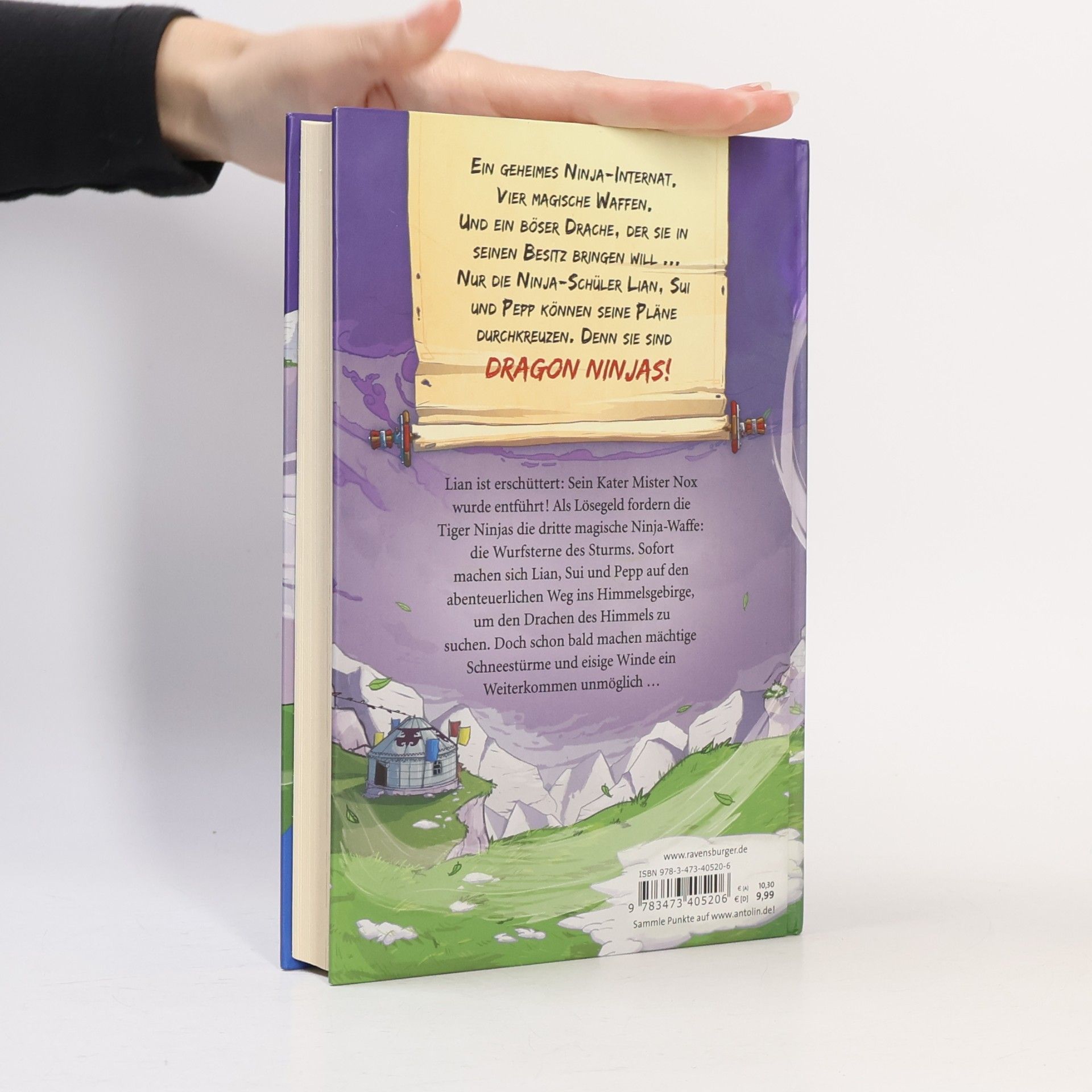 Michael Petrowitz Dragon Ninjas, Band 3: Der Drache des Himmels