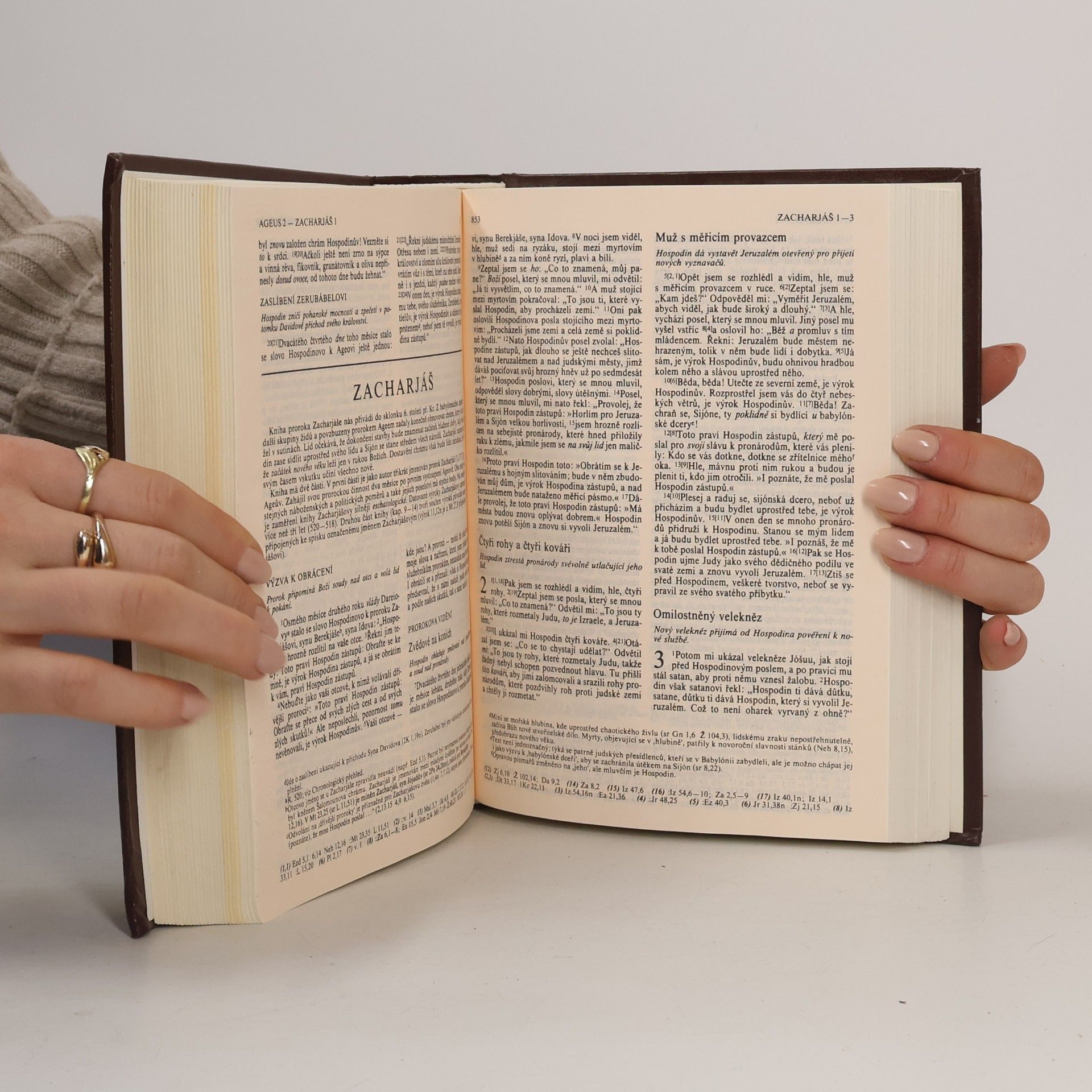 Various authors Bible