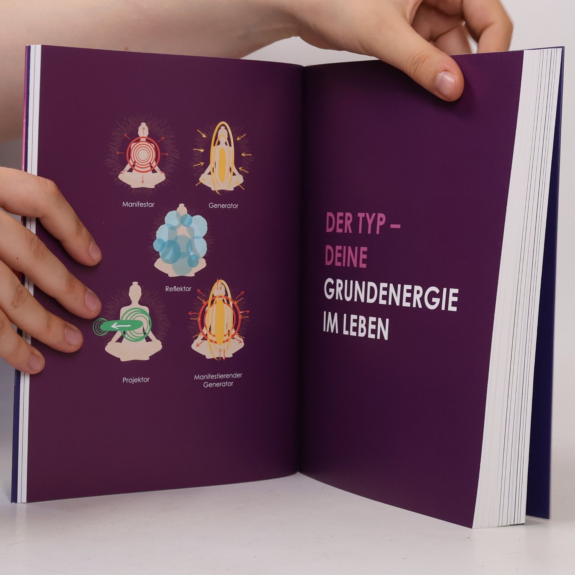 Anja Hauer Mehr Lebenskraft, Leichtigkeit und Erfolg durch Human Design