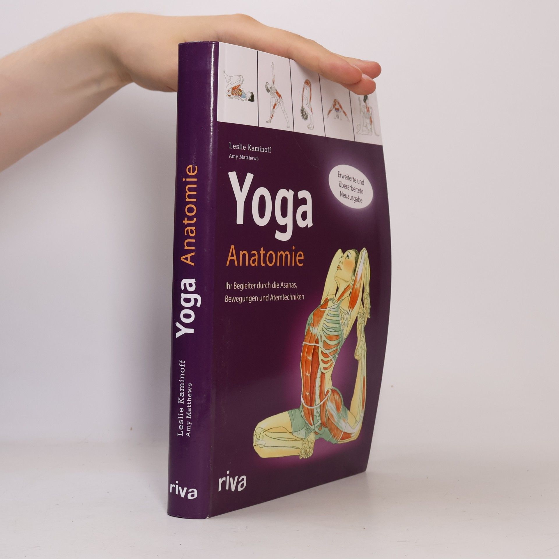 Leslie Kaminoff Yoga-Anatomie