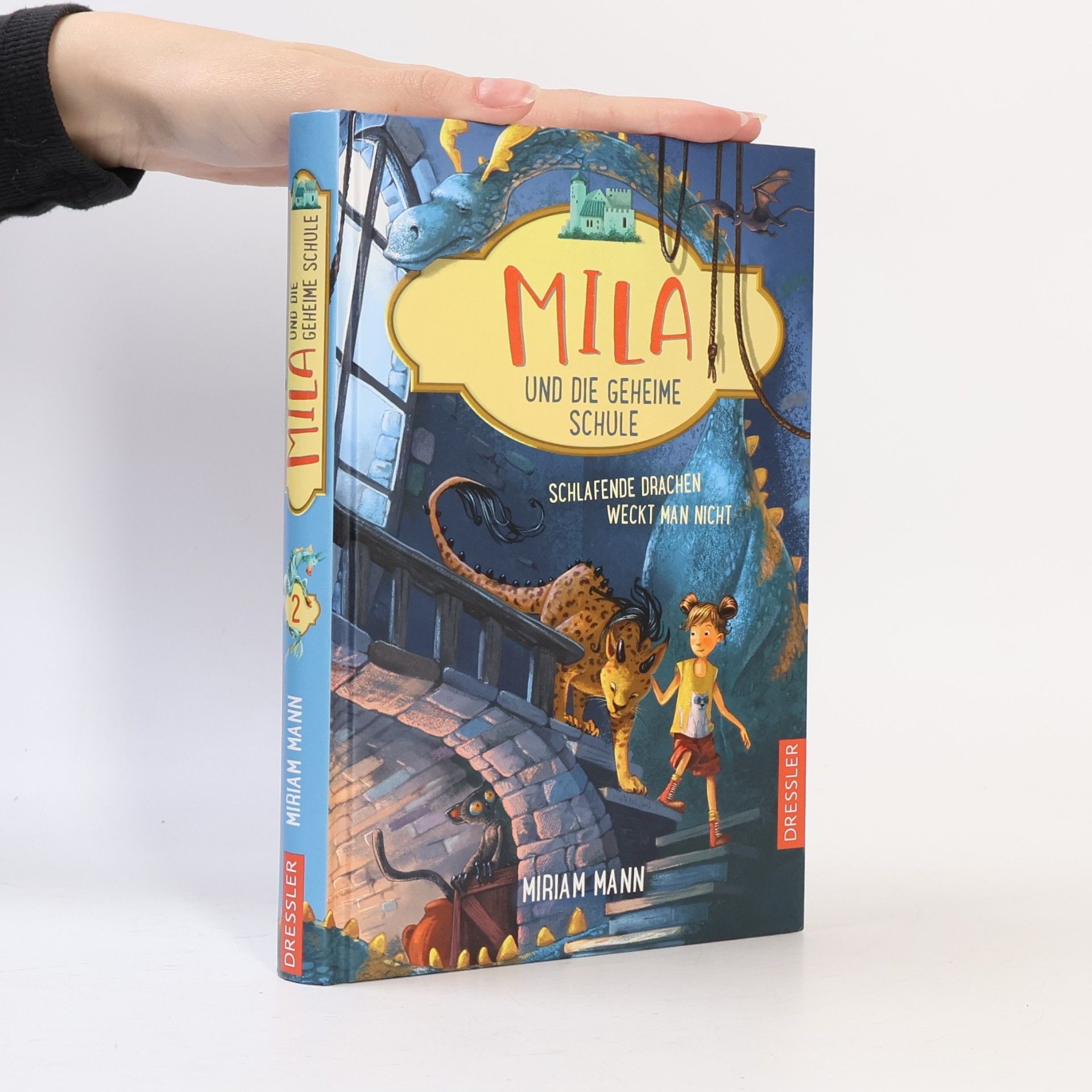 Miriam Mann Mila und die geheime Schule 2