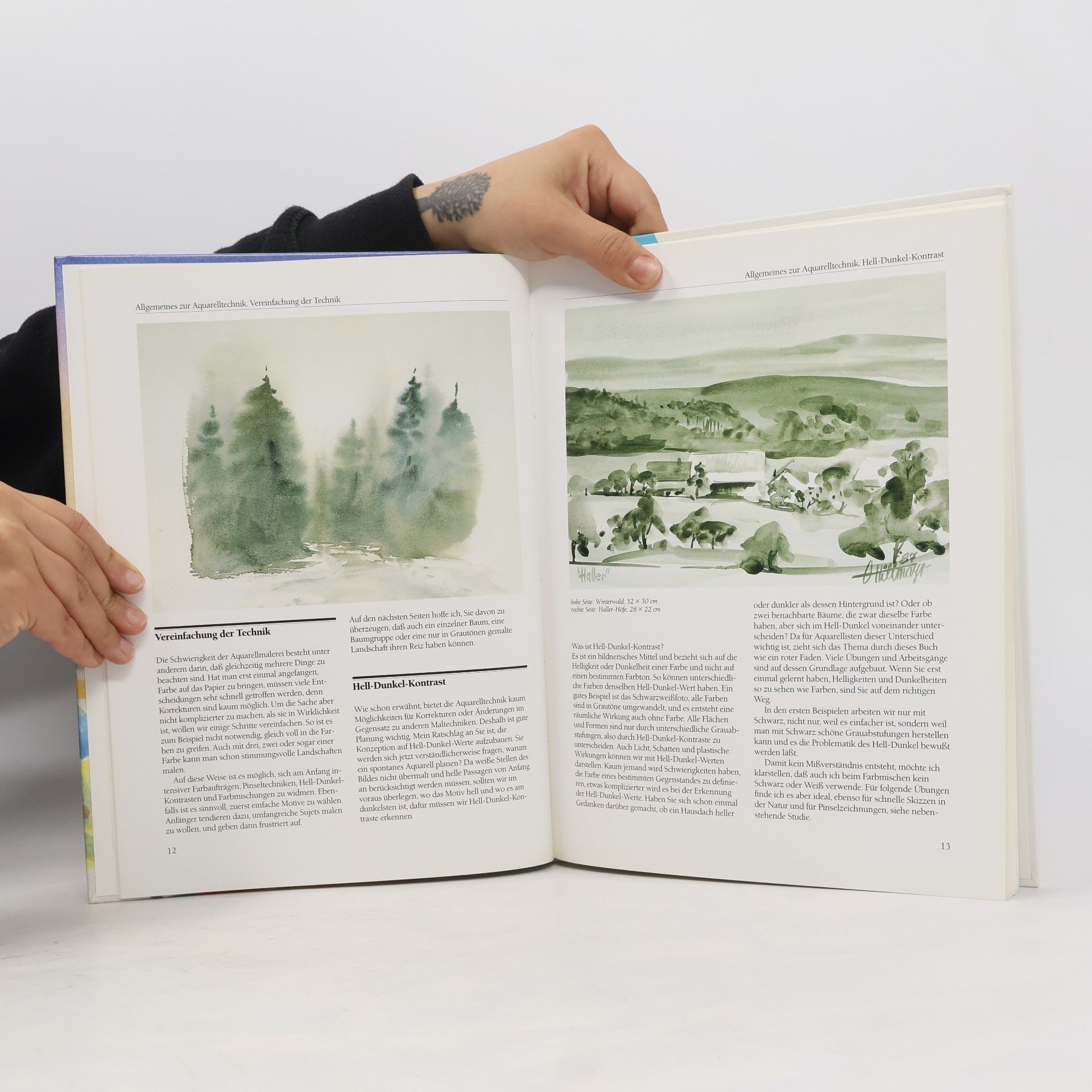 Gerhard Hillmayr Aquarellmalerei. Landschaften
