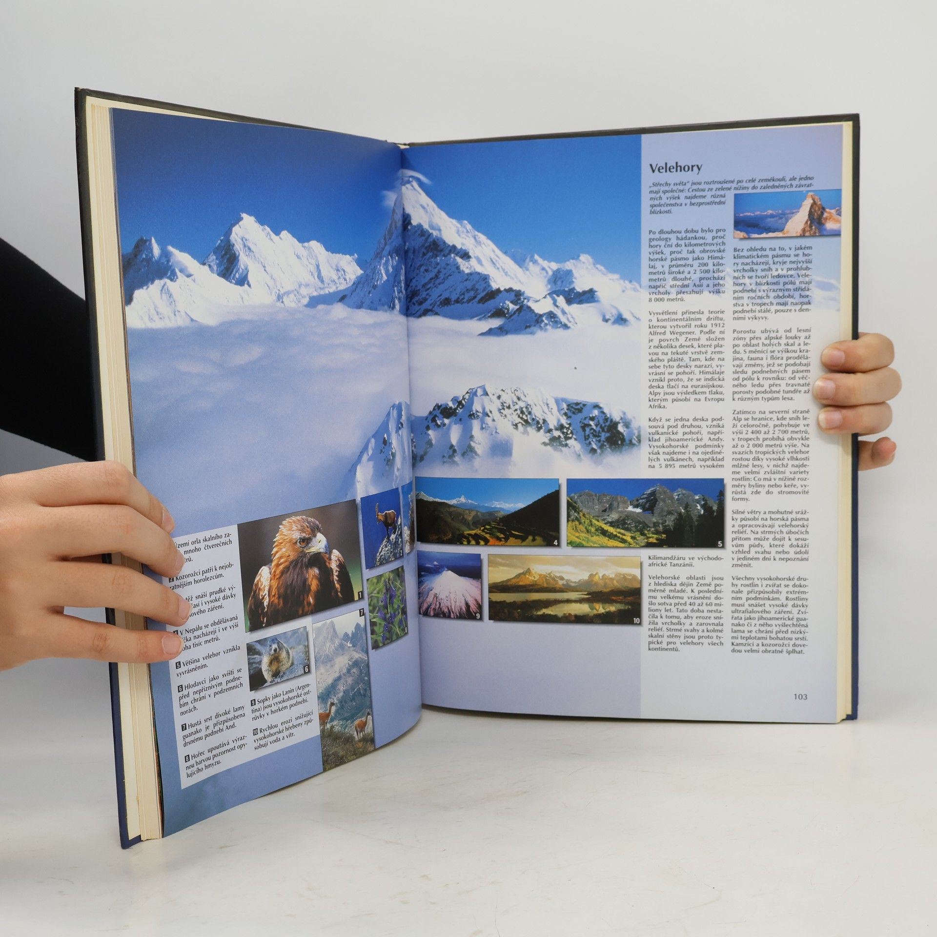 Helena Kholová Velký atlas světa