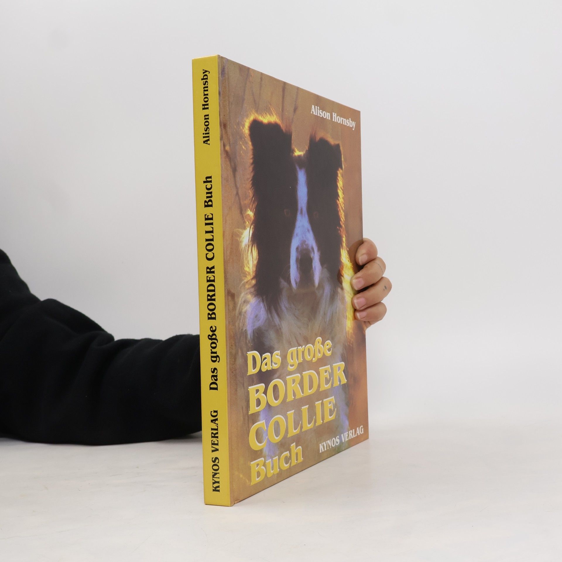 Alison Hornsby Das grosse Border-Collie-Buch