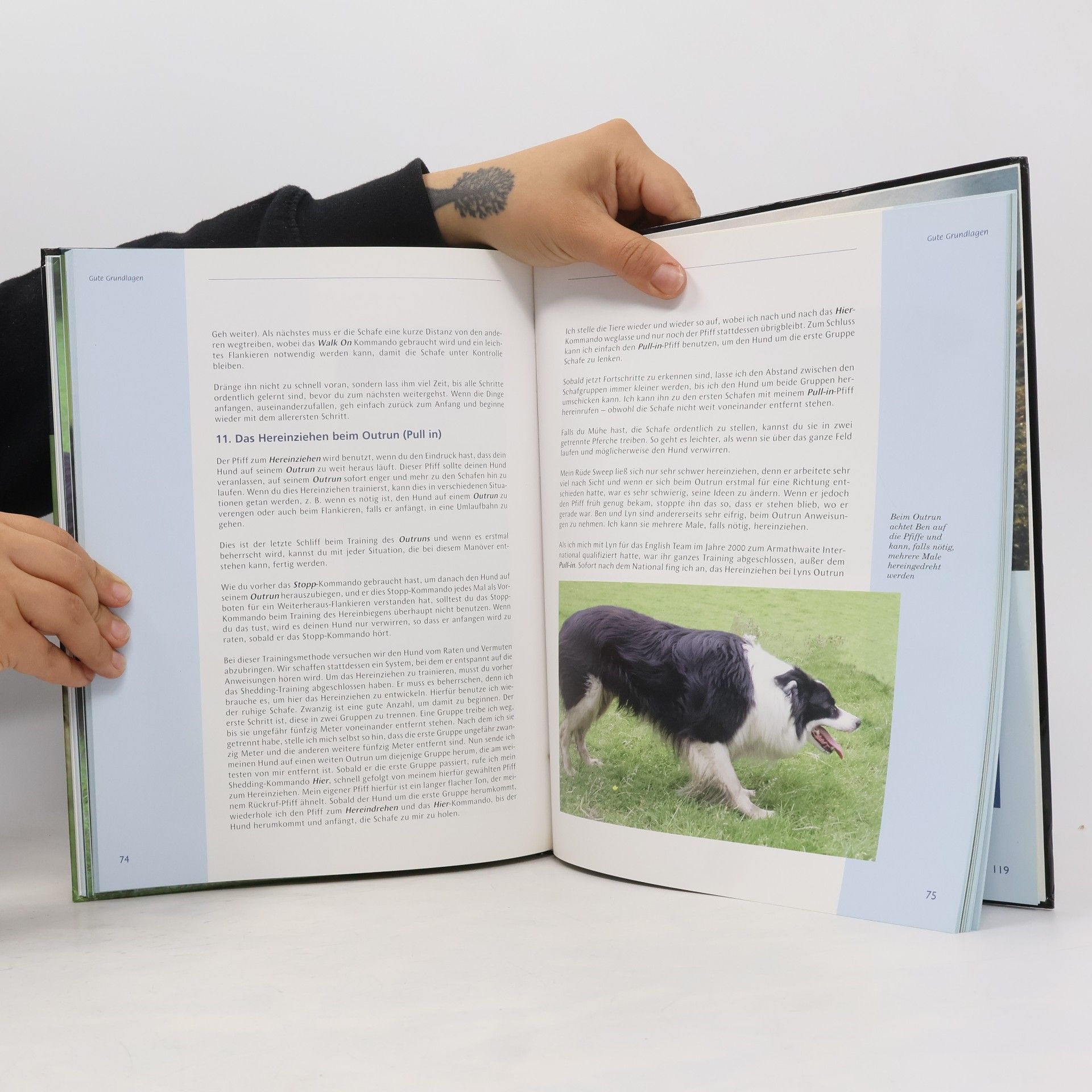Derek Scrimgeour Modernes Border Collie Training