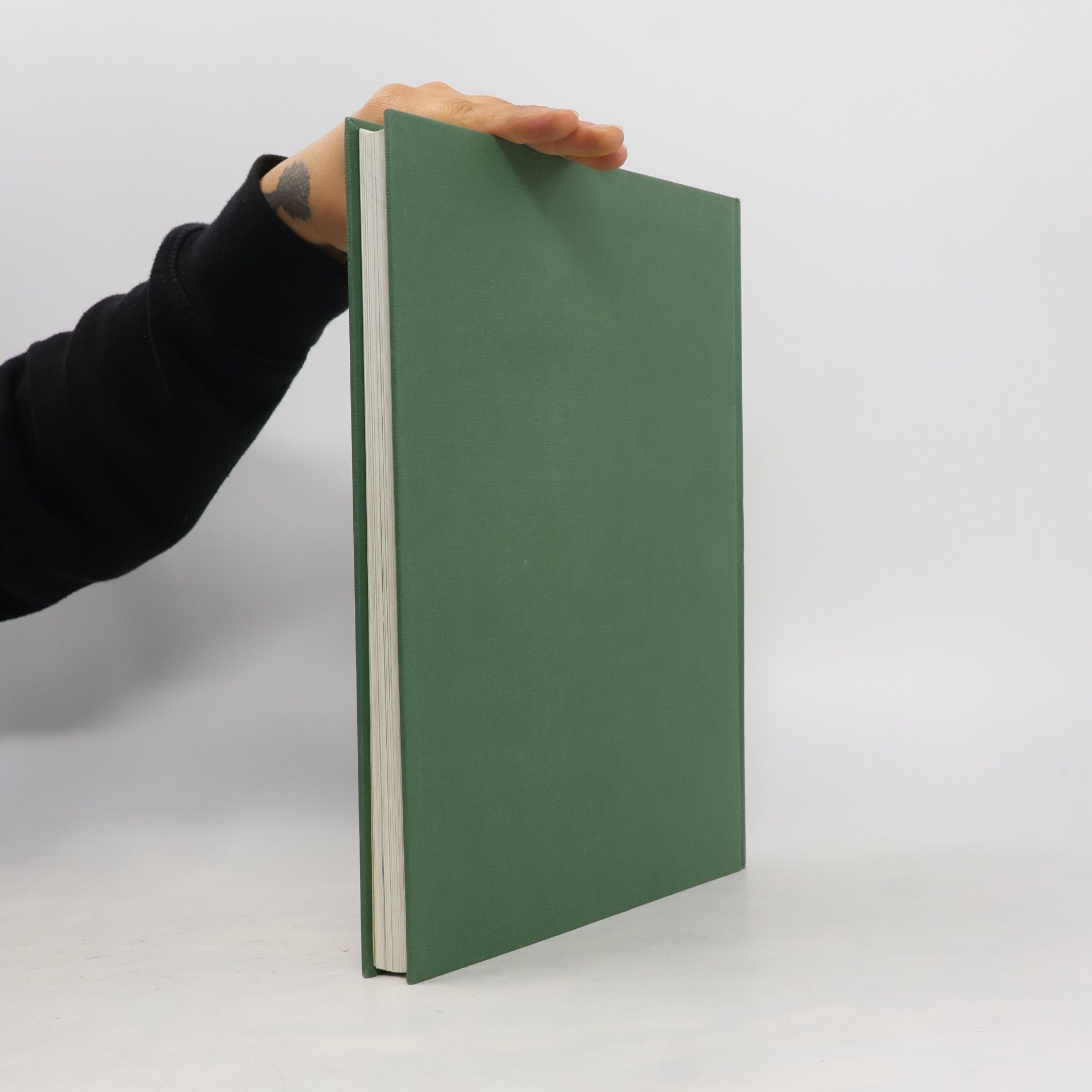 kolektiv Das große Buch des Pferdes