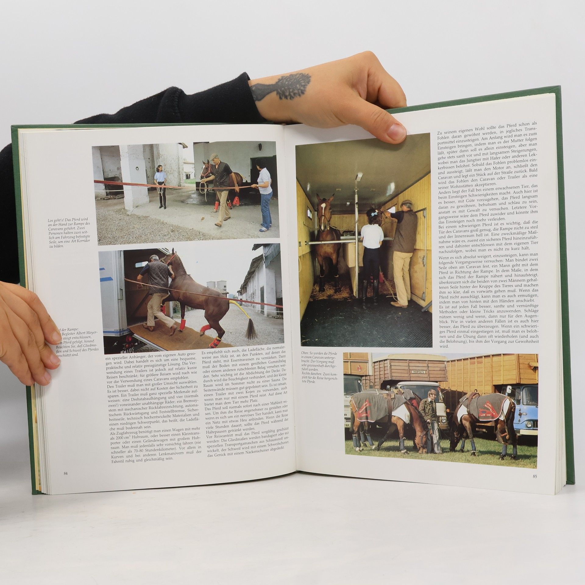 kolektiv Das große Buch des Pferdes
