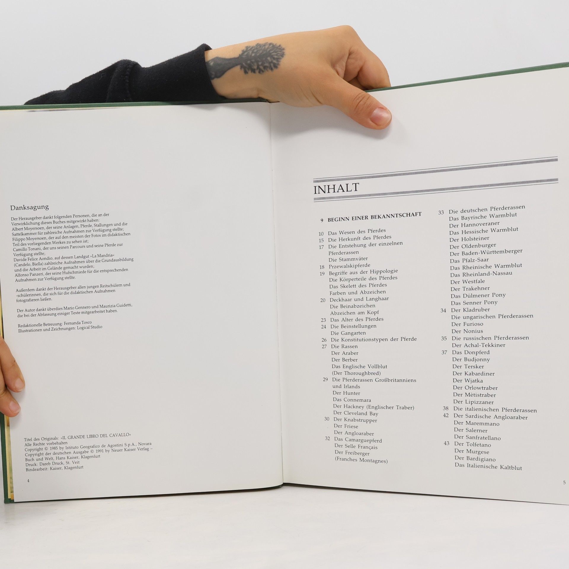 kolektiv Das große Buch des Pferdes