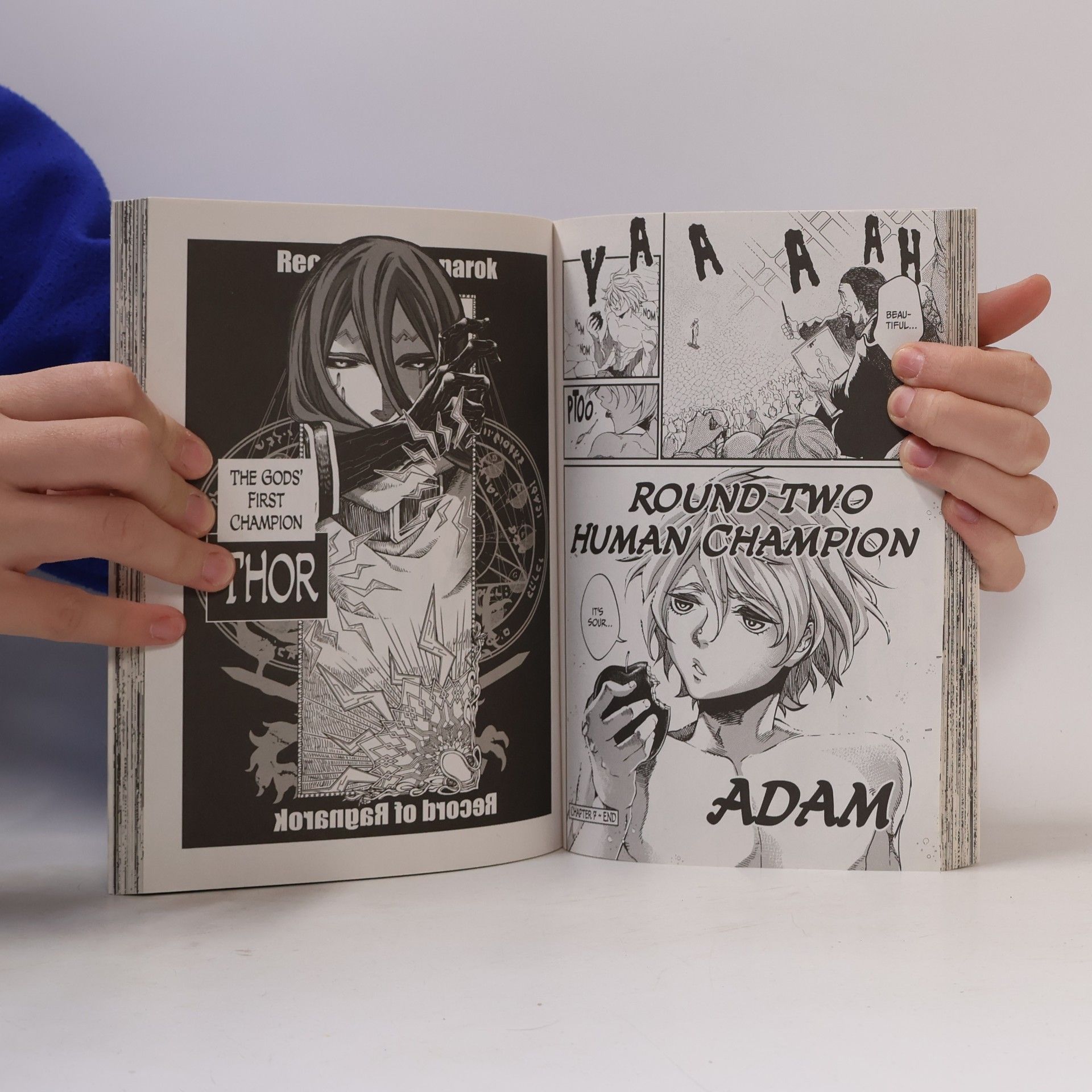 Shin\'ya Umemura Record of Ragnarok, Vol. 2: Volume 2
