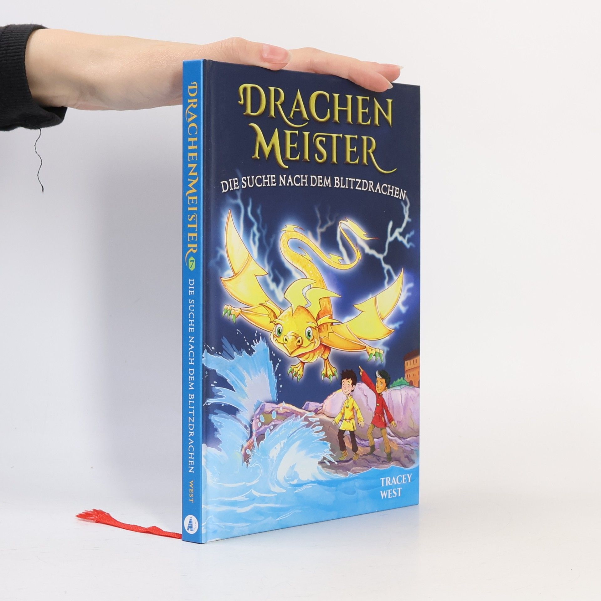 Tracey West Die Suche nach dem Blitzdrachen