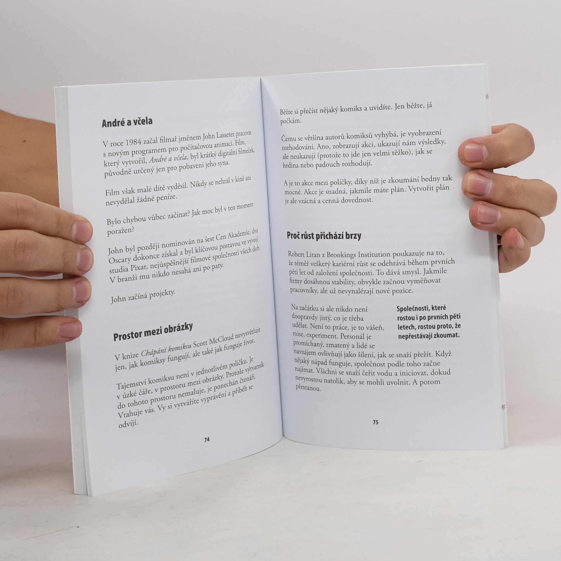 Seth Godin Kopni do té bedny. Jak uvést do života projekty ze šuplíku