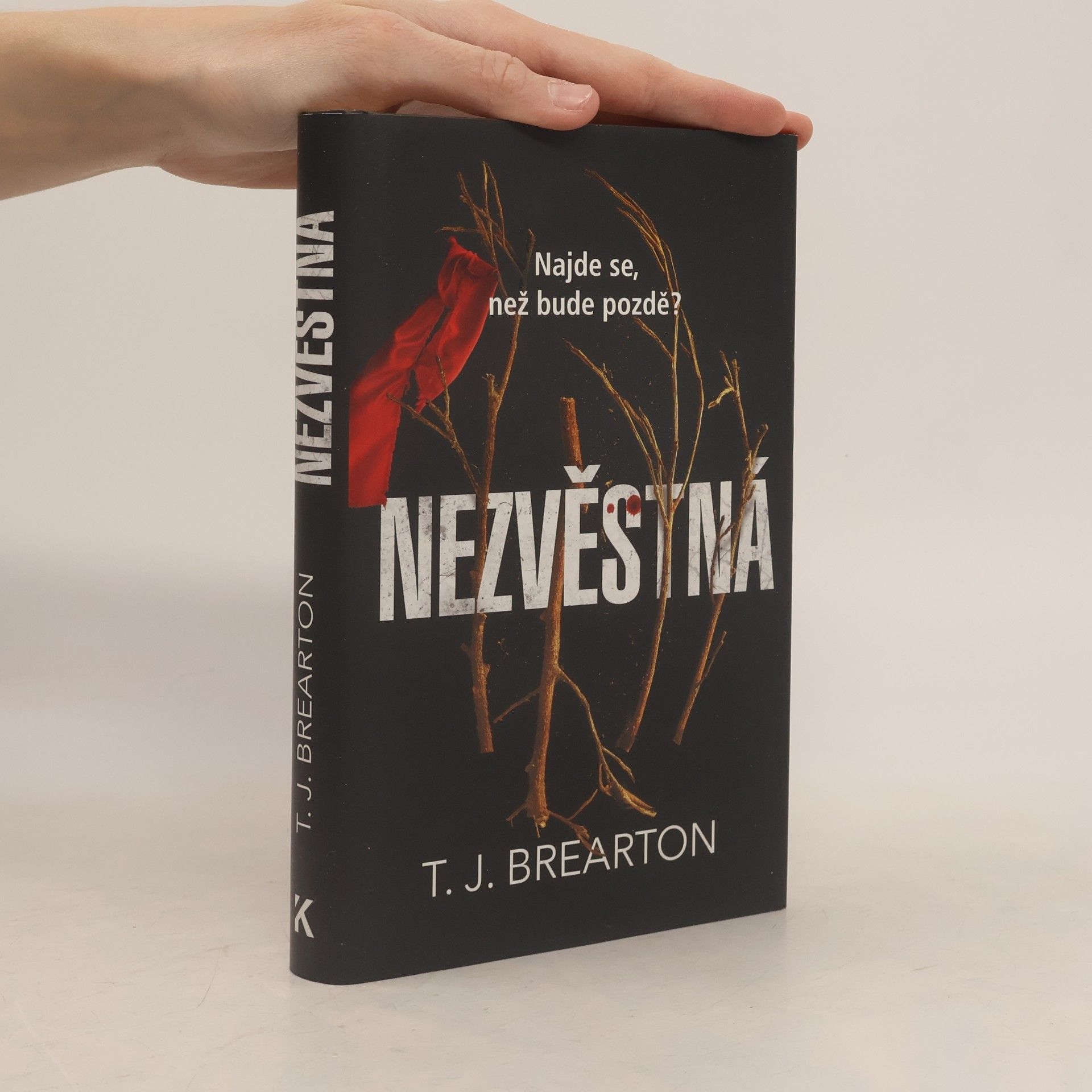 Nezvěstná