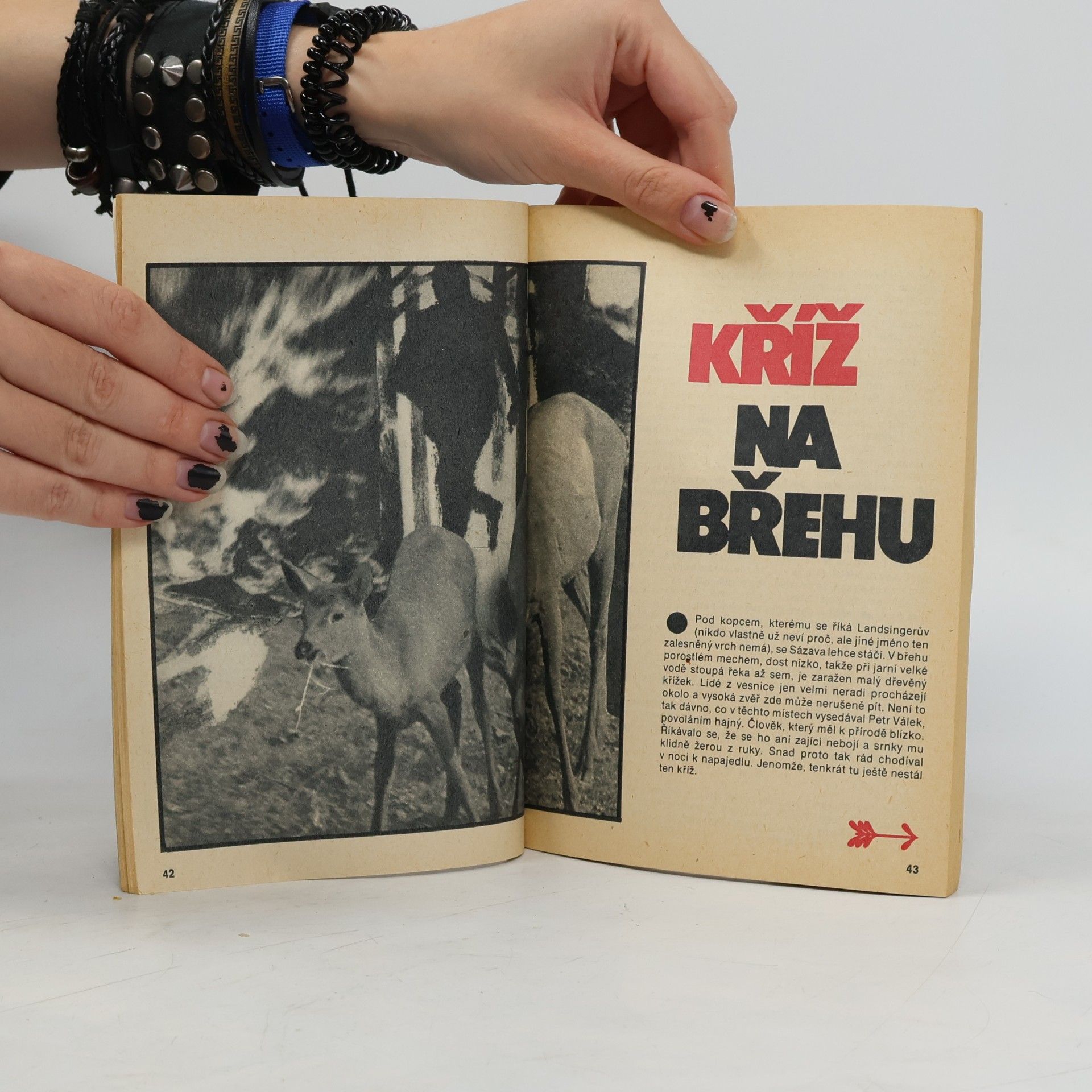 Kolektiv autorů Za hranicí zákona