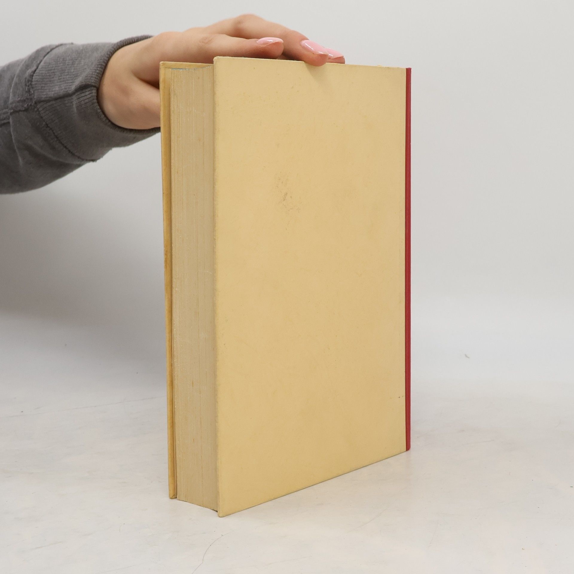 Eva-Karin Schuster Kleine Kulturgeschichte