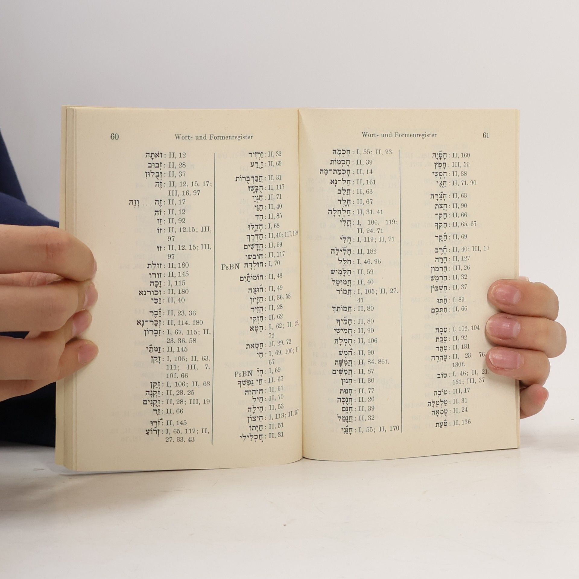 Rudolf Meyer Hebräische Grammatik - Register