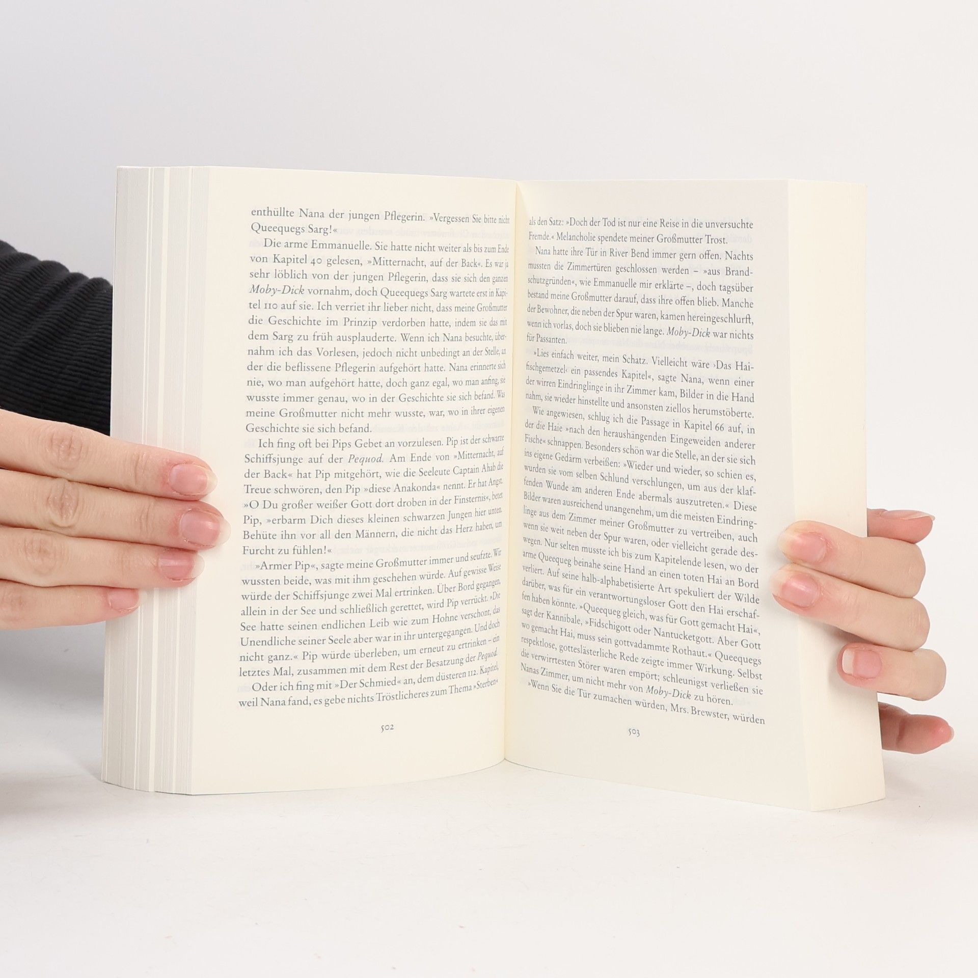 John Irving Der letzte Sessellift