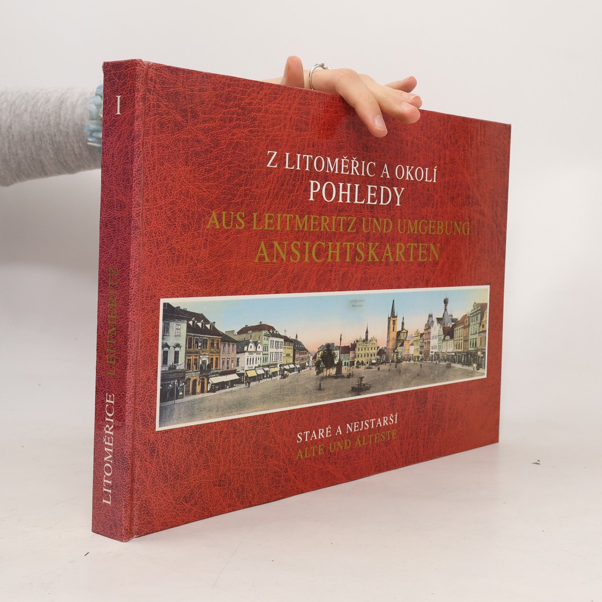 Z Litoměřic a okolí: Pohledy. Aus Leitmeritz und Umgebung: Ansichtskarten