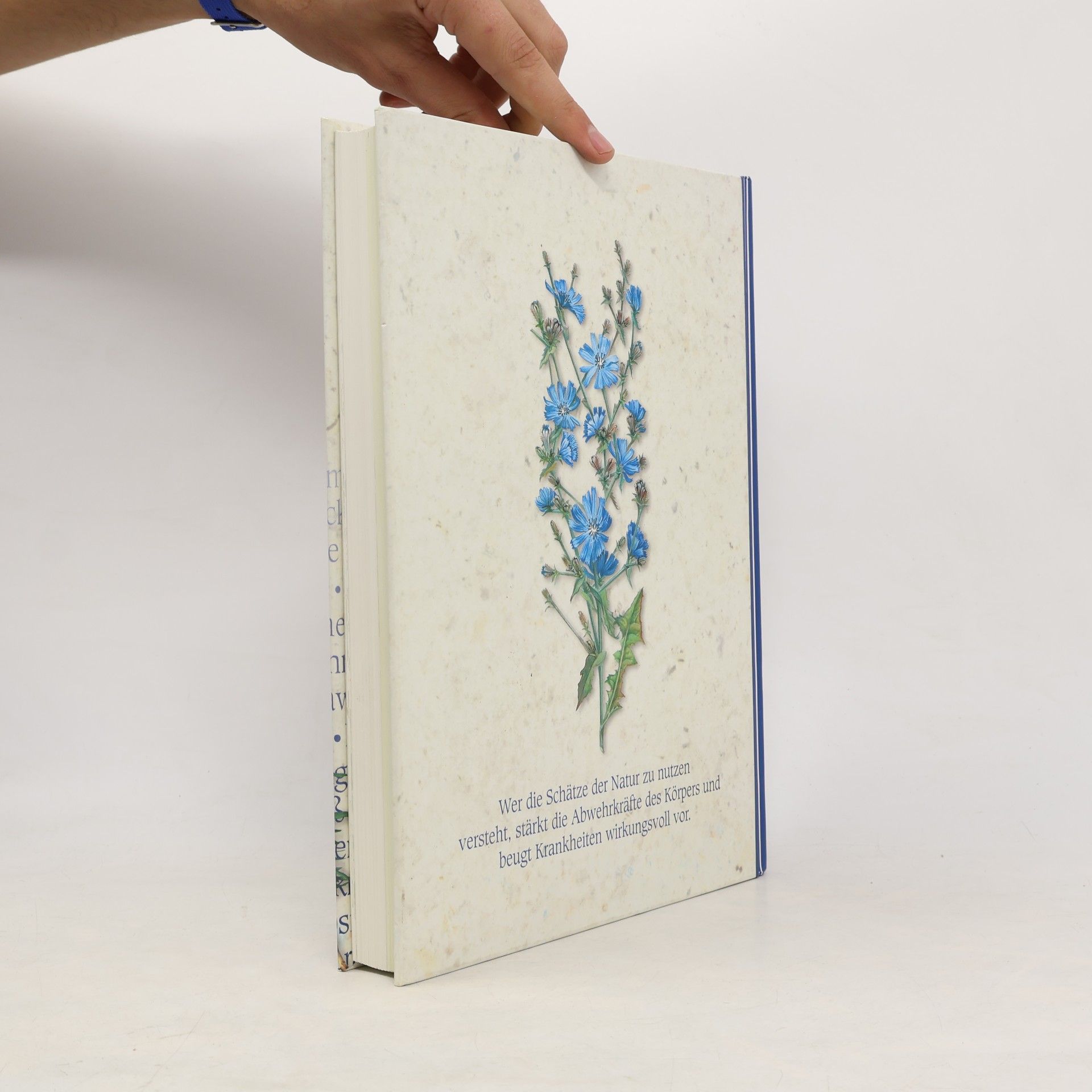 Ulrike Novotny Reader's Digest Heilpflanzen-Buch