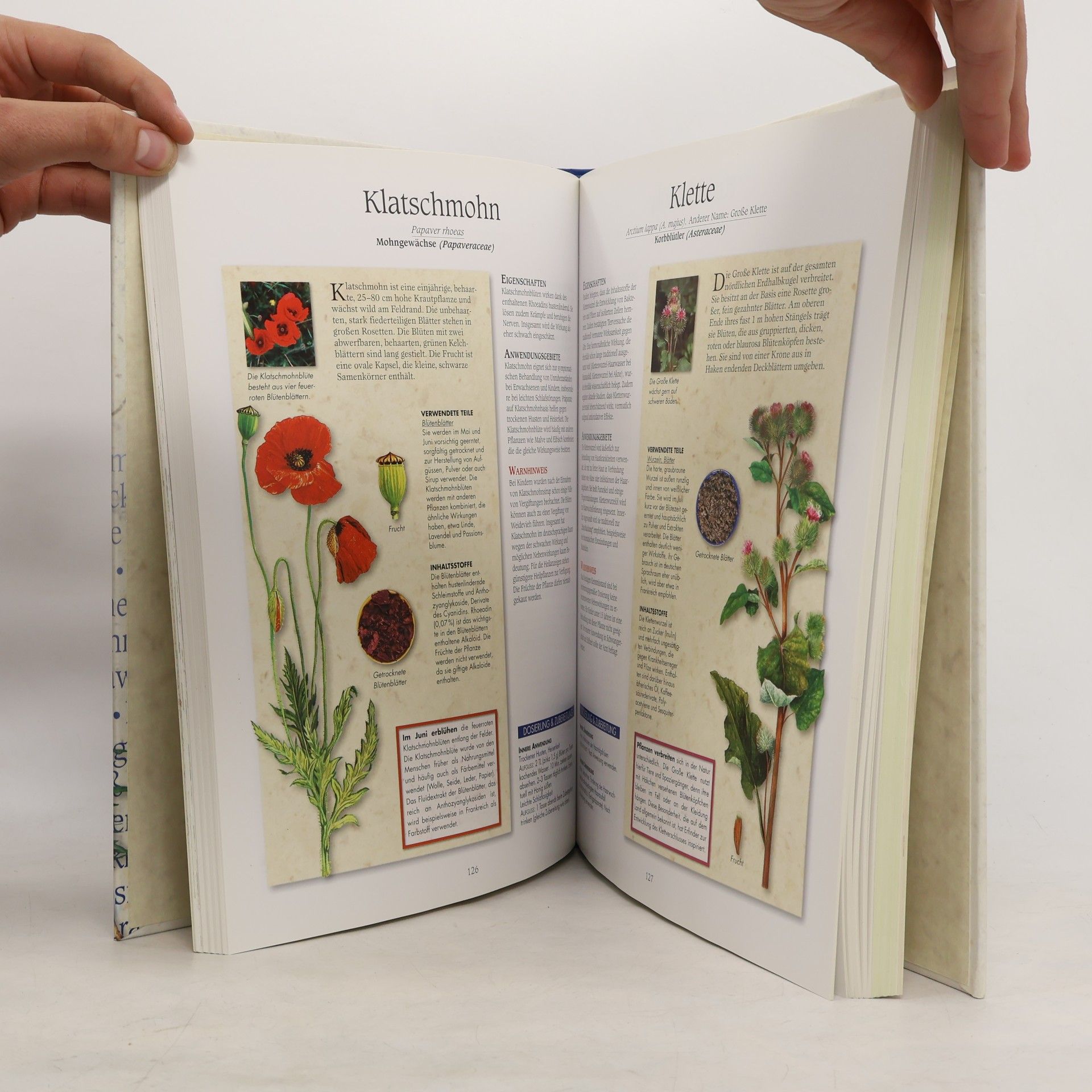 Ulrike Novotny Reader's Digest Heilpflanzen-Buch
