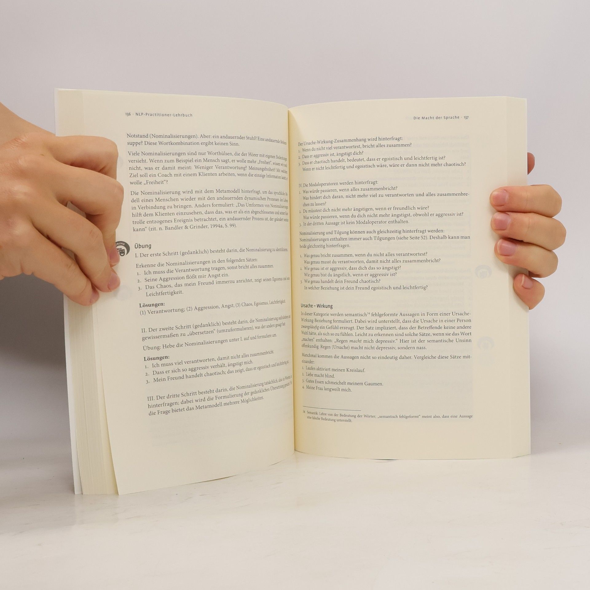 Petra Dannemeyer NLP-Practitioner-Lehrbuch