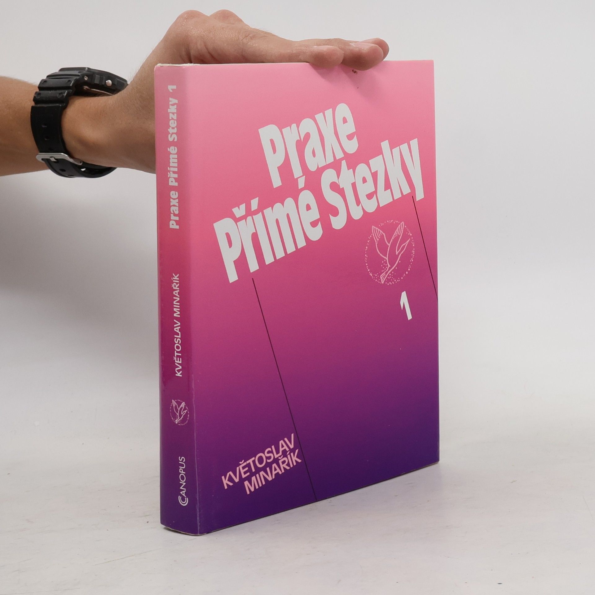 Praxe Přímé Stezky 1