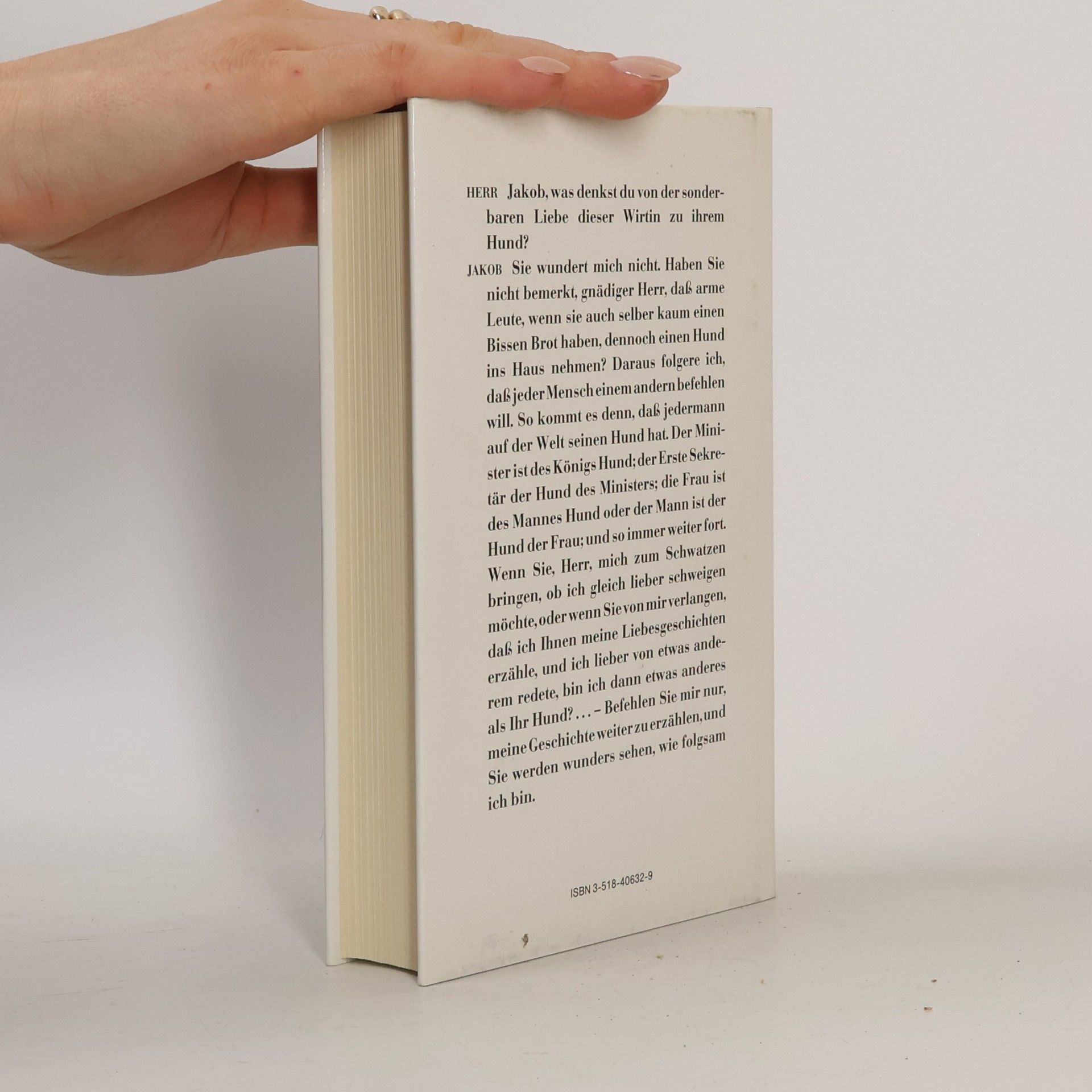 Hans Magnus Enzensberger Diderots Schatten