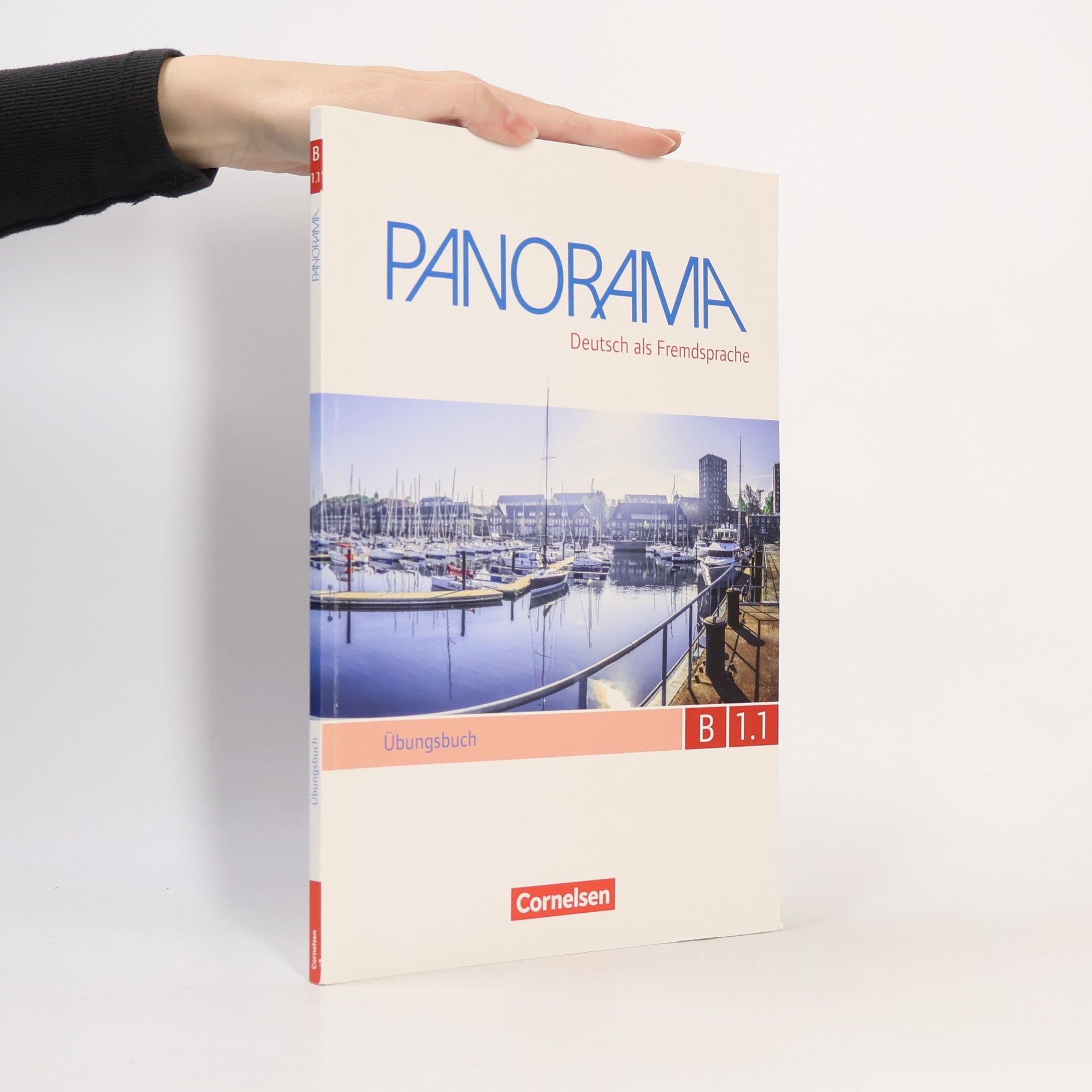 Autorenkollektiv Panorama. Deutsch als Fremdsprache. Übungsbuch B1.1