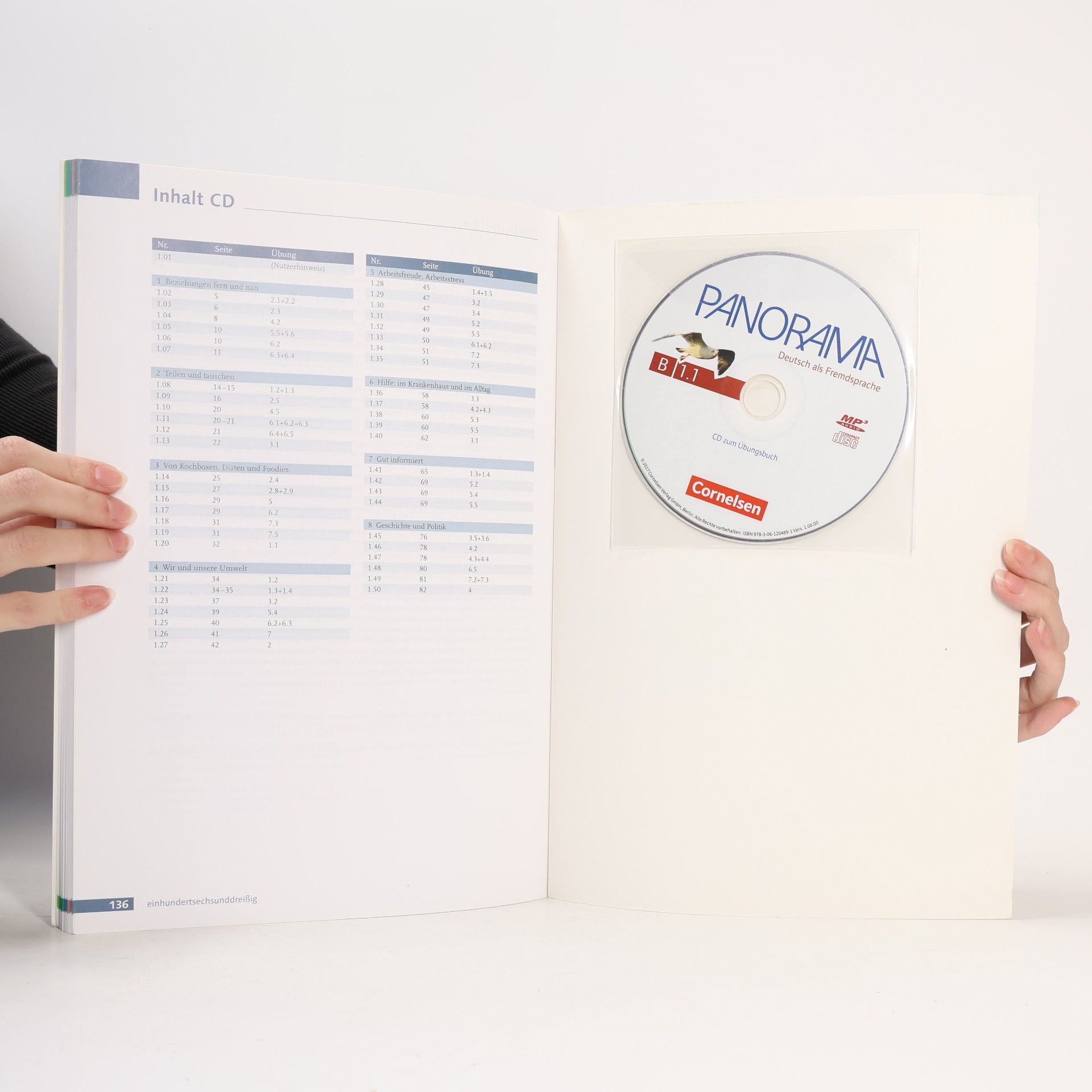 Autorenkollektiv Panorama. Deutsch als Fremdsprache. Übungsbuch B1.1