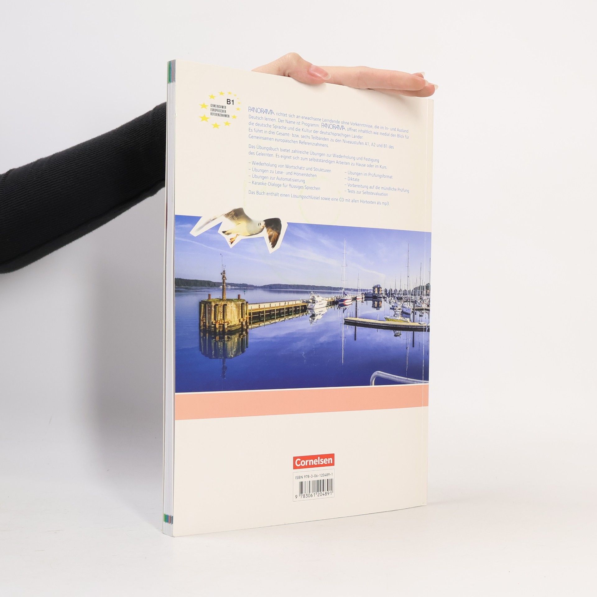 Autorenkollektiv Panorama. Deutsch als Fremdsprache. Übungsbuch B1.1