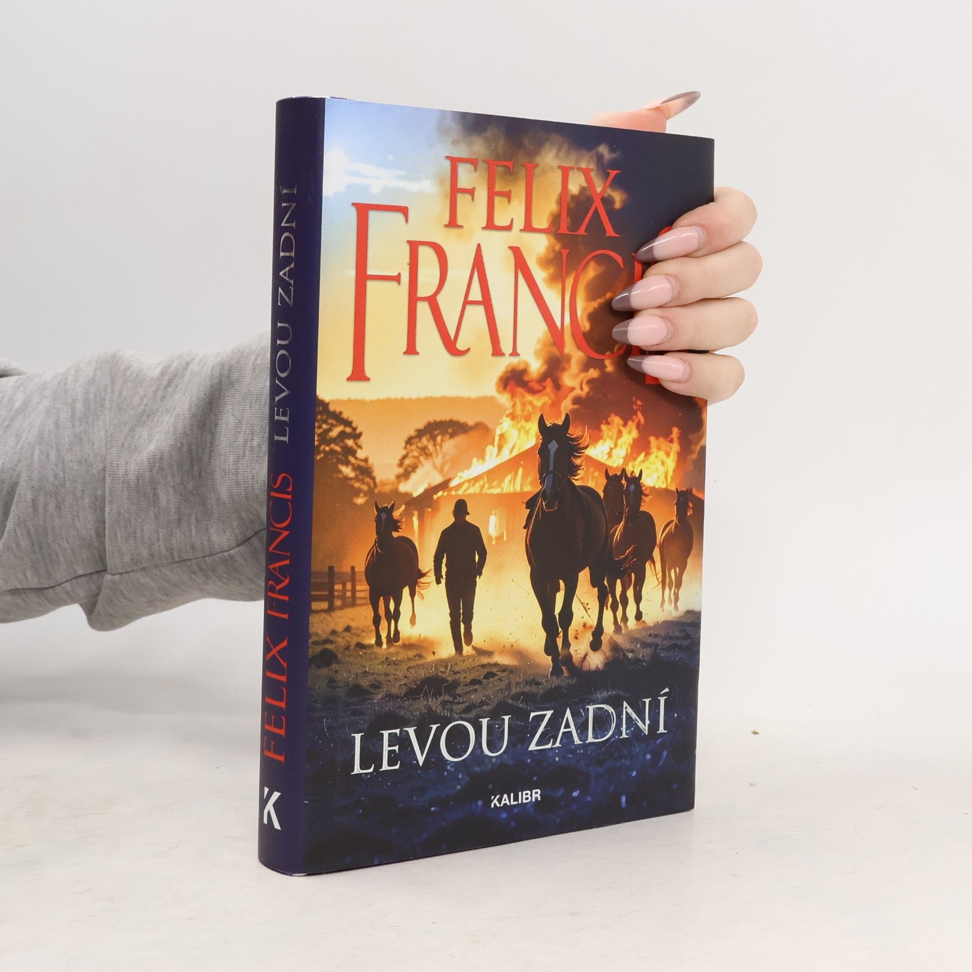 Levou zadní