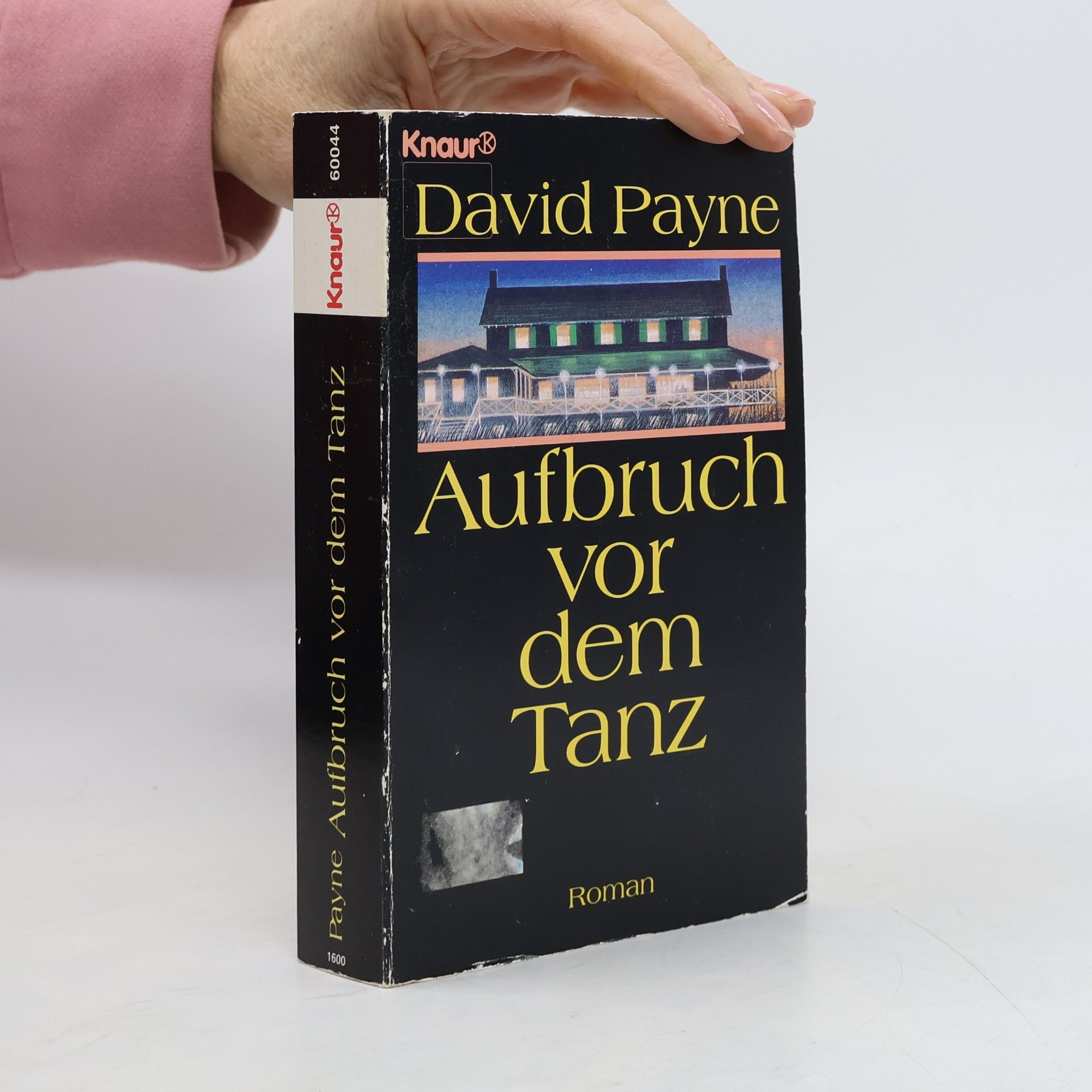 David Payne Aufbruch vor dem Tanz. Roman