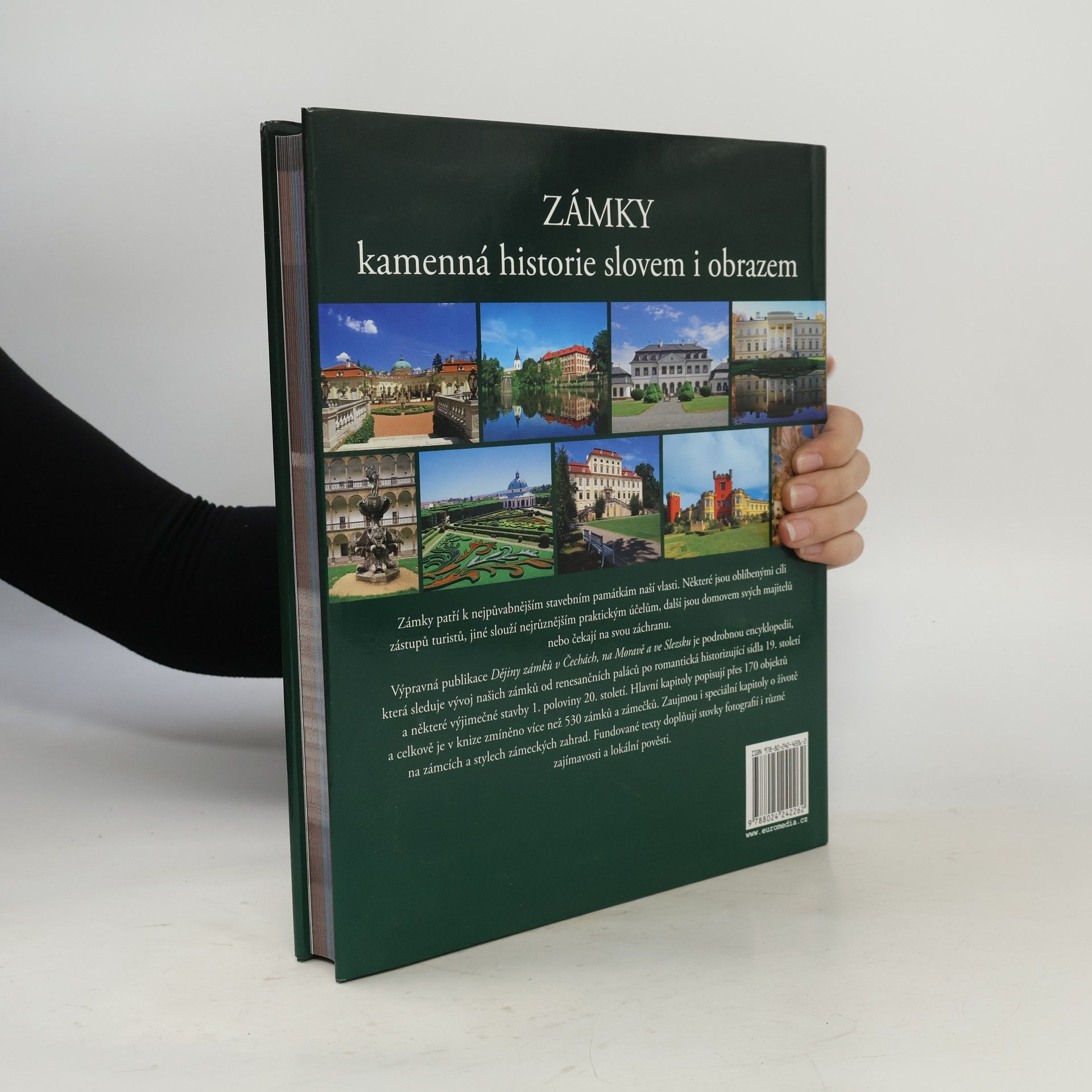 Petr David Dějiny zámků v Čechách, na Moravě a ve Slezsku